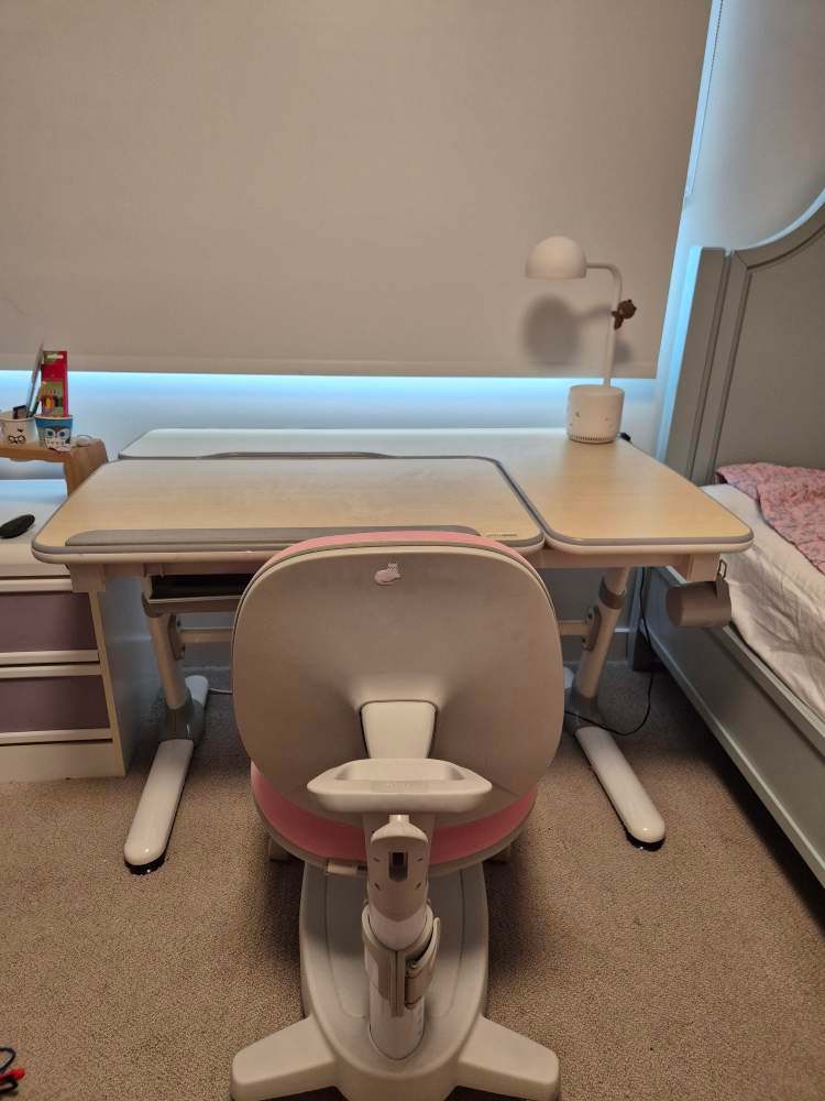 Adjustable Kids Study Desk & Ergonomic Chair Set - photo 2