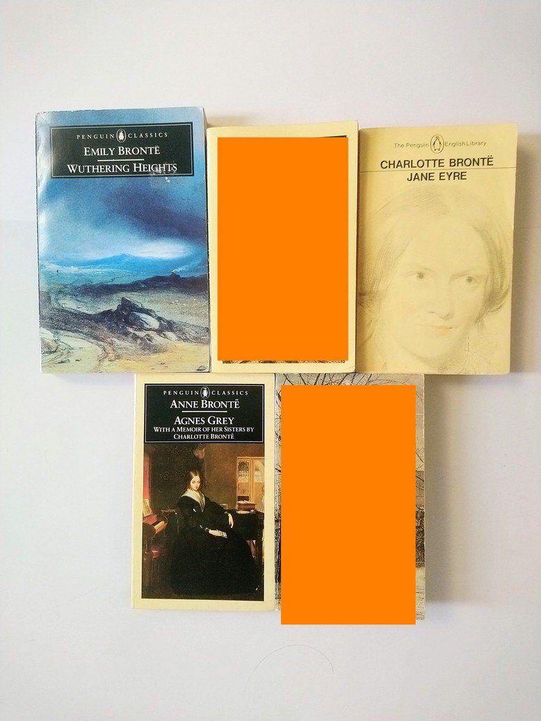 Bronte sisters books!!
