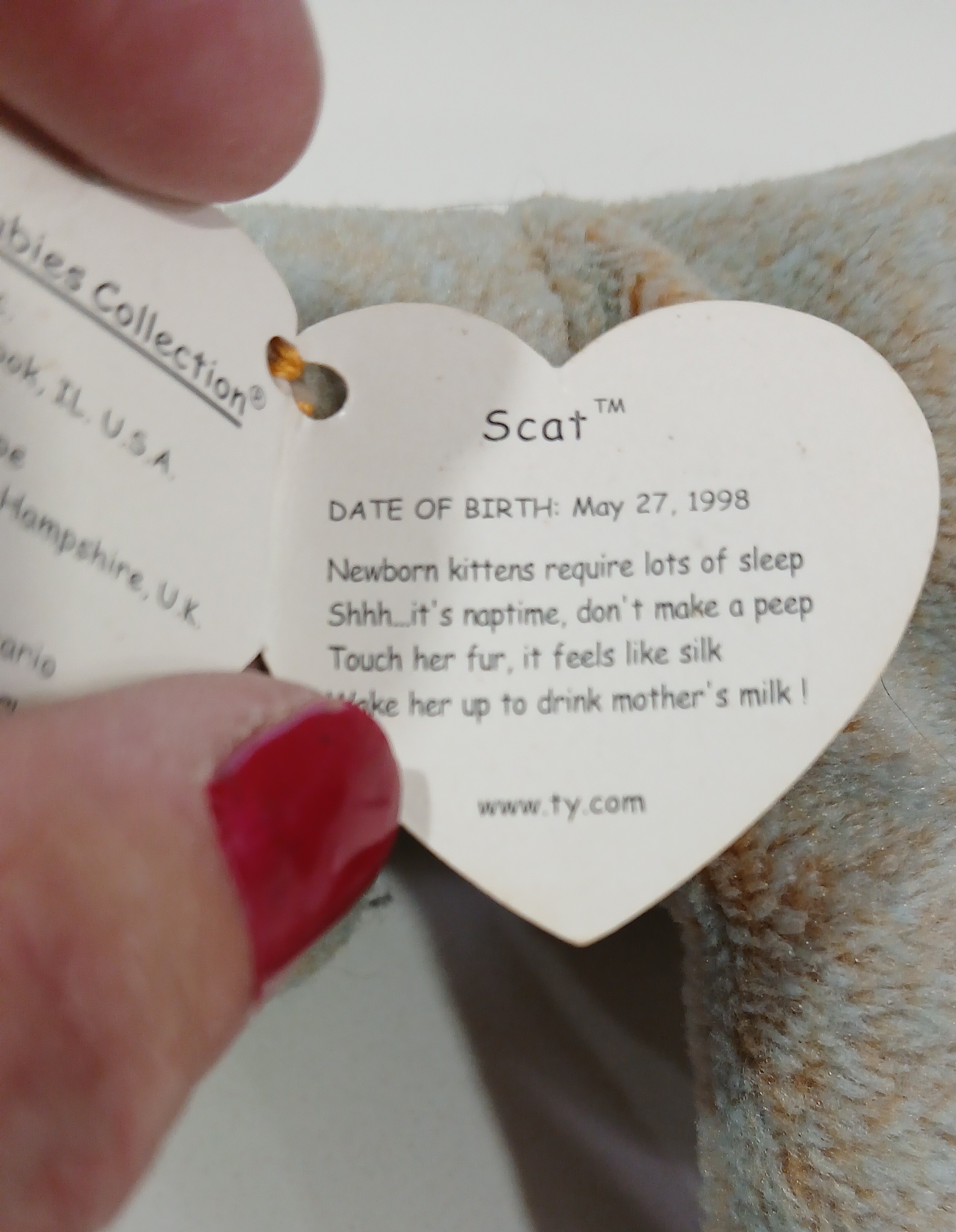 Ty Beany Baby Scat With Tag, Like New - photo 5