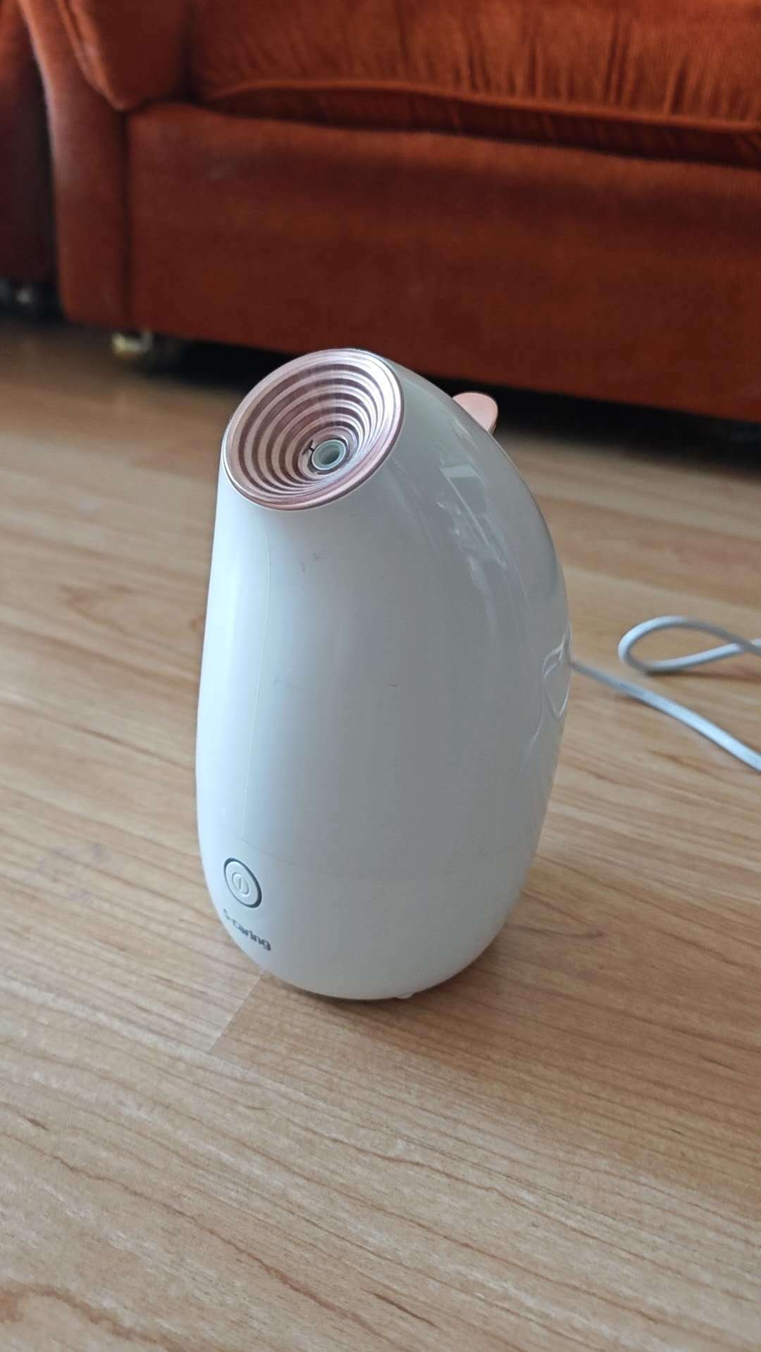 S-caring Ionic Facial Steamer KD2331