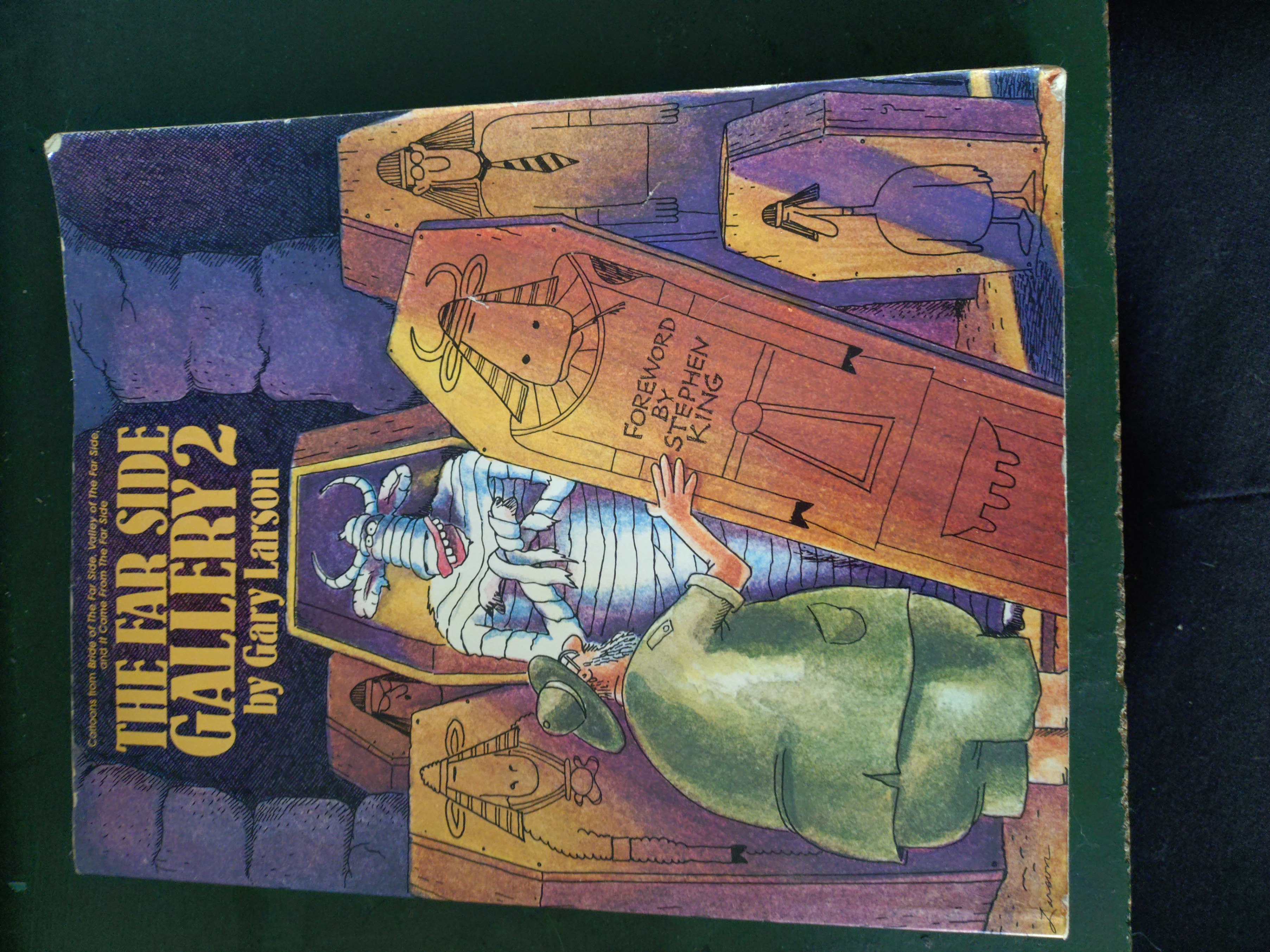 Classic Comic Strip Books – Far Side, Garfield, Hagar (Bundle) - photo 4