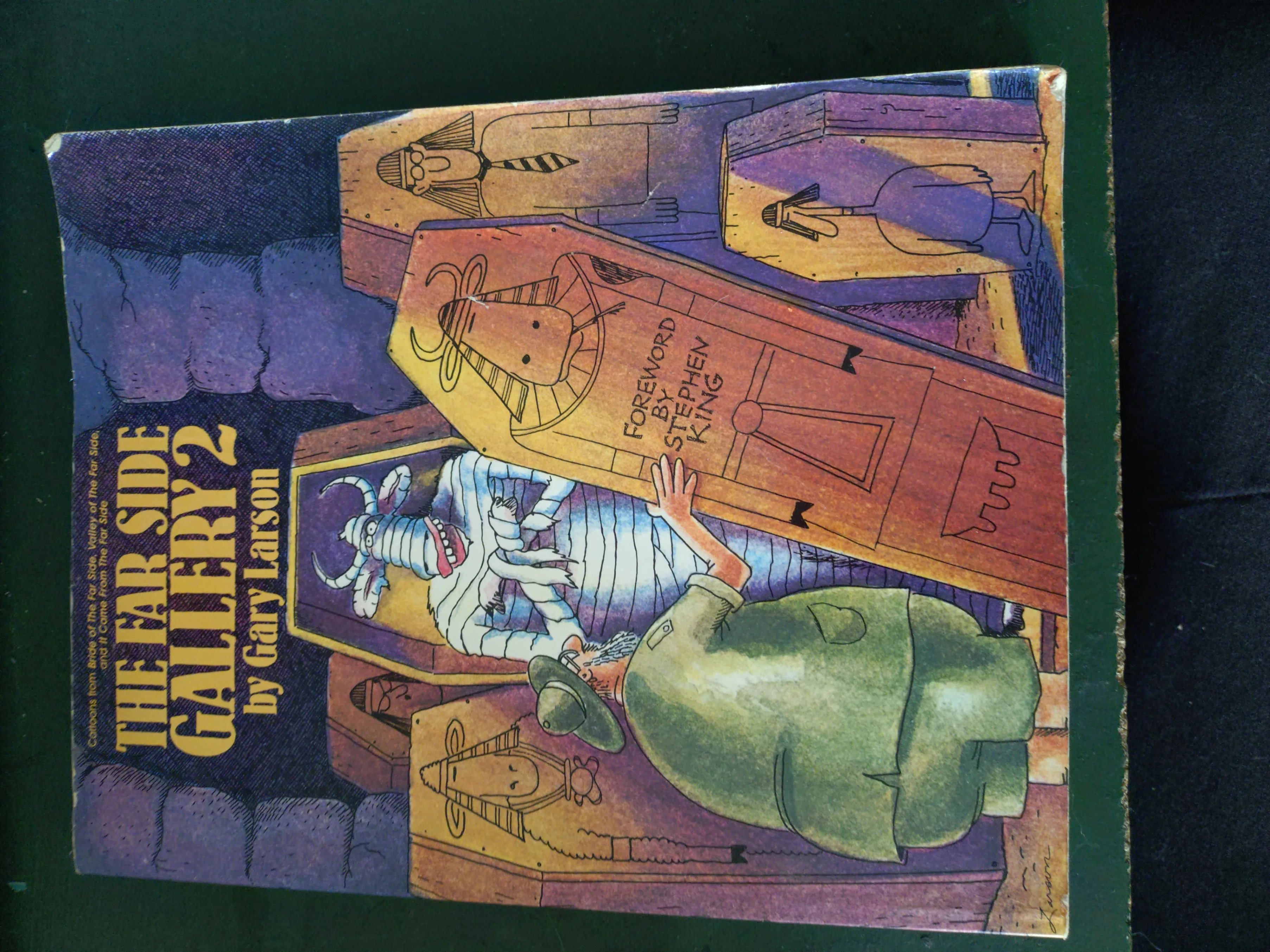 Classic Comic Strip Books – Far Side, Garfield, Hagar (Bundle) - photo 4