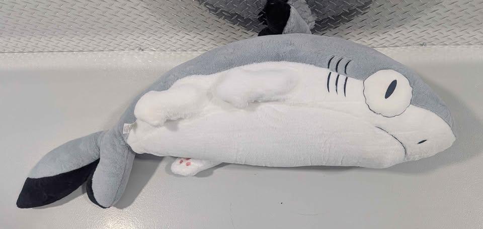 Shark Cat Kitty plush large