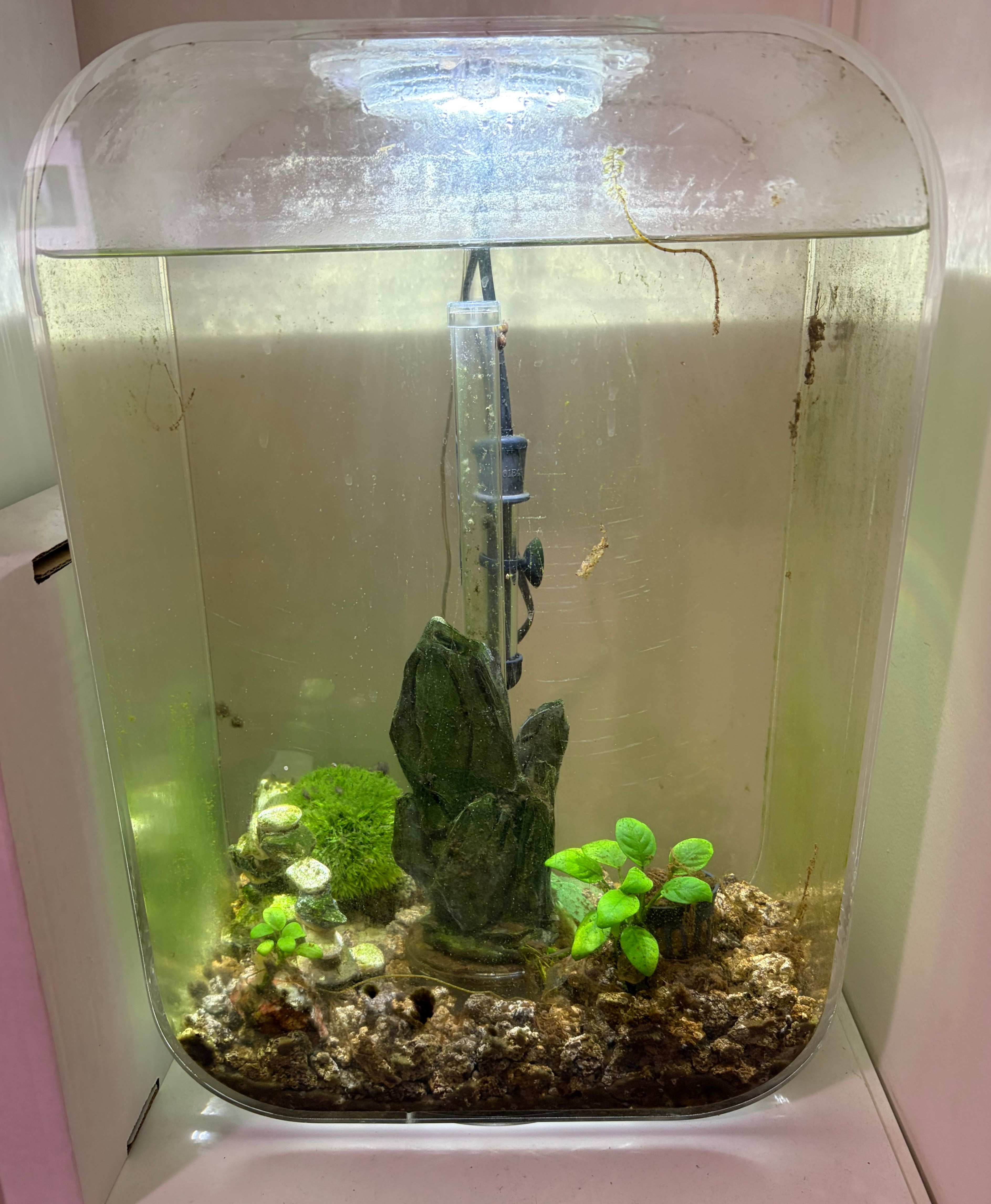 biOrb Life 15 clear fish tank (4 gallon) with remote - photo 2