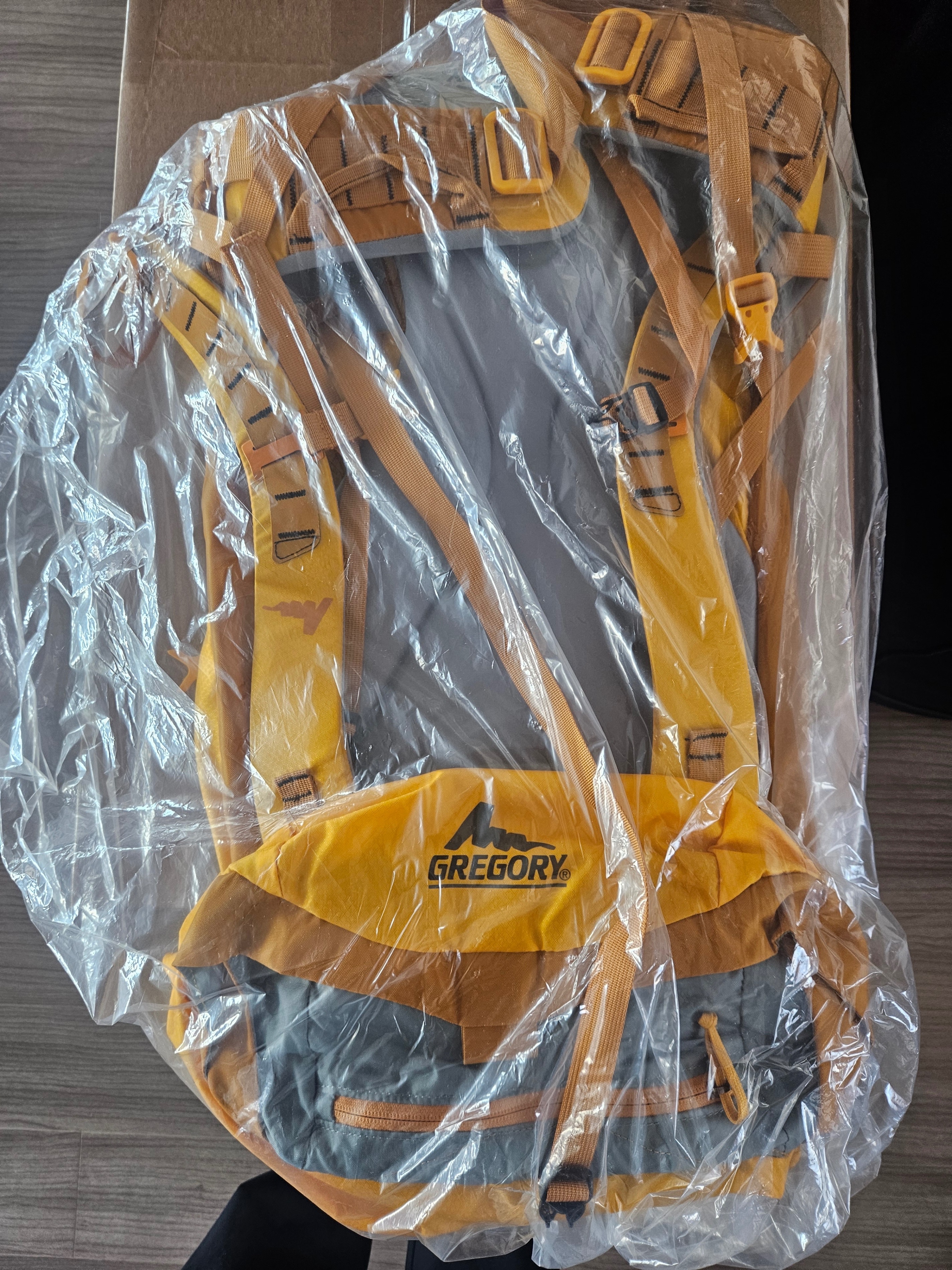 Gregory Alpinisto  35 Backpack - Yellow