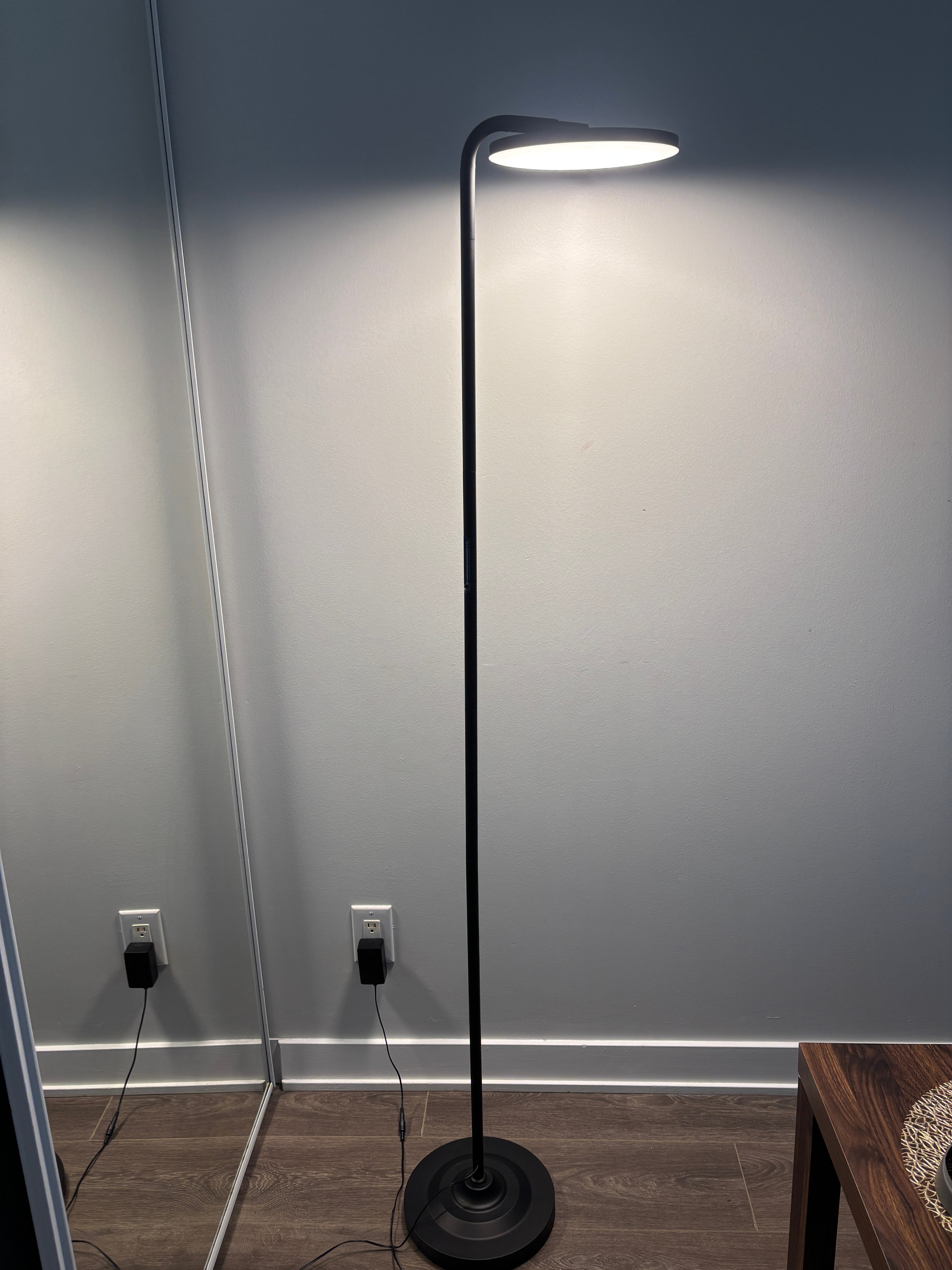 Modern LED Sky Floor Lamp - Swivel Head & Remote Control