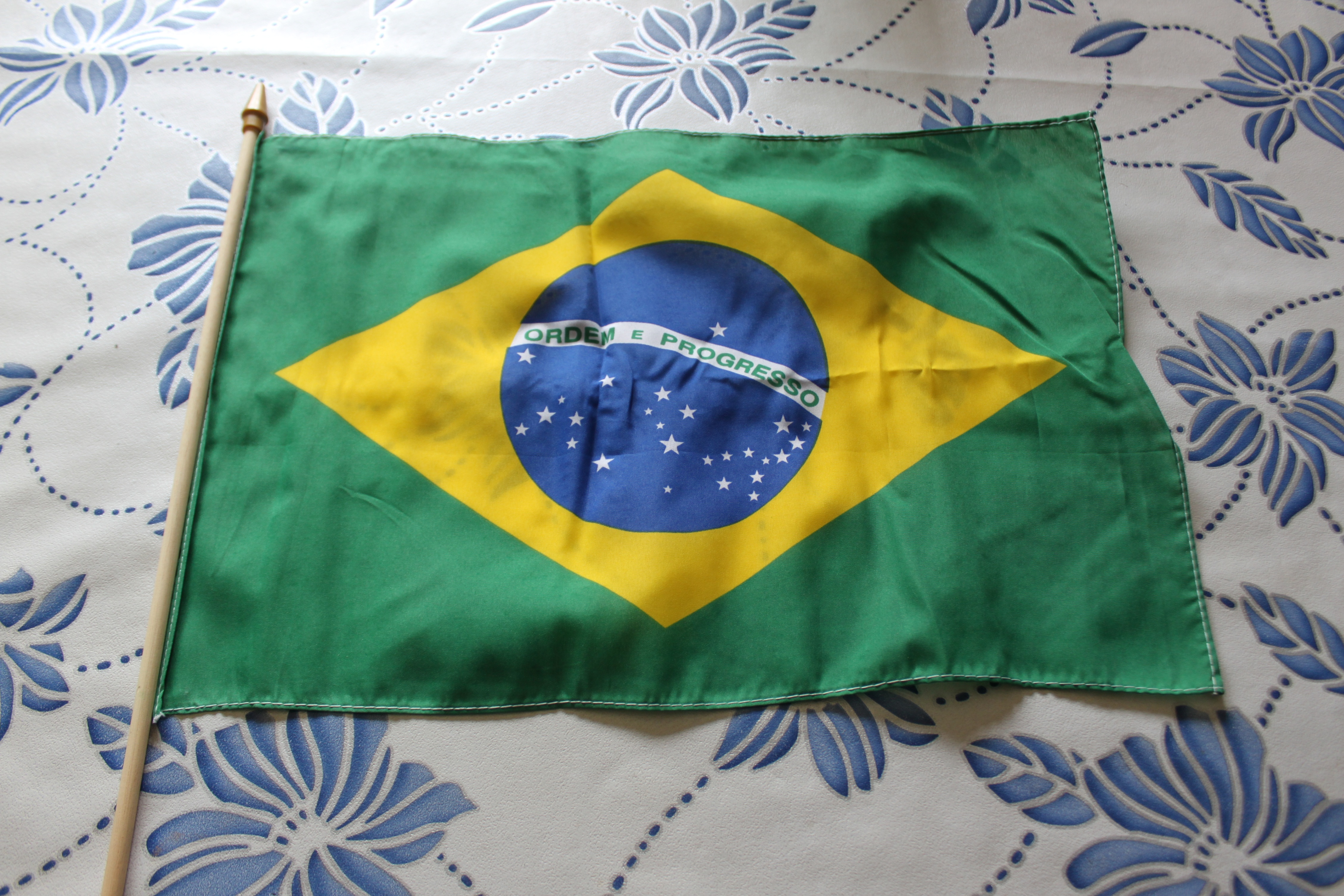 Brazil Flag With Waving Stick