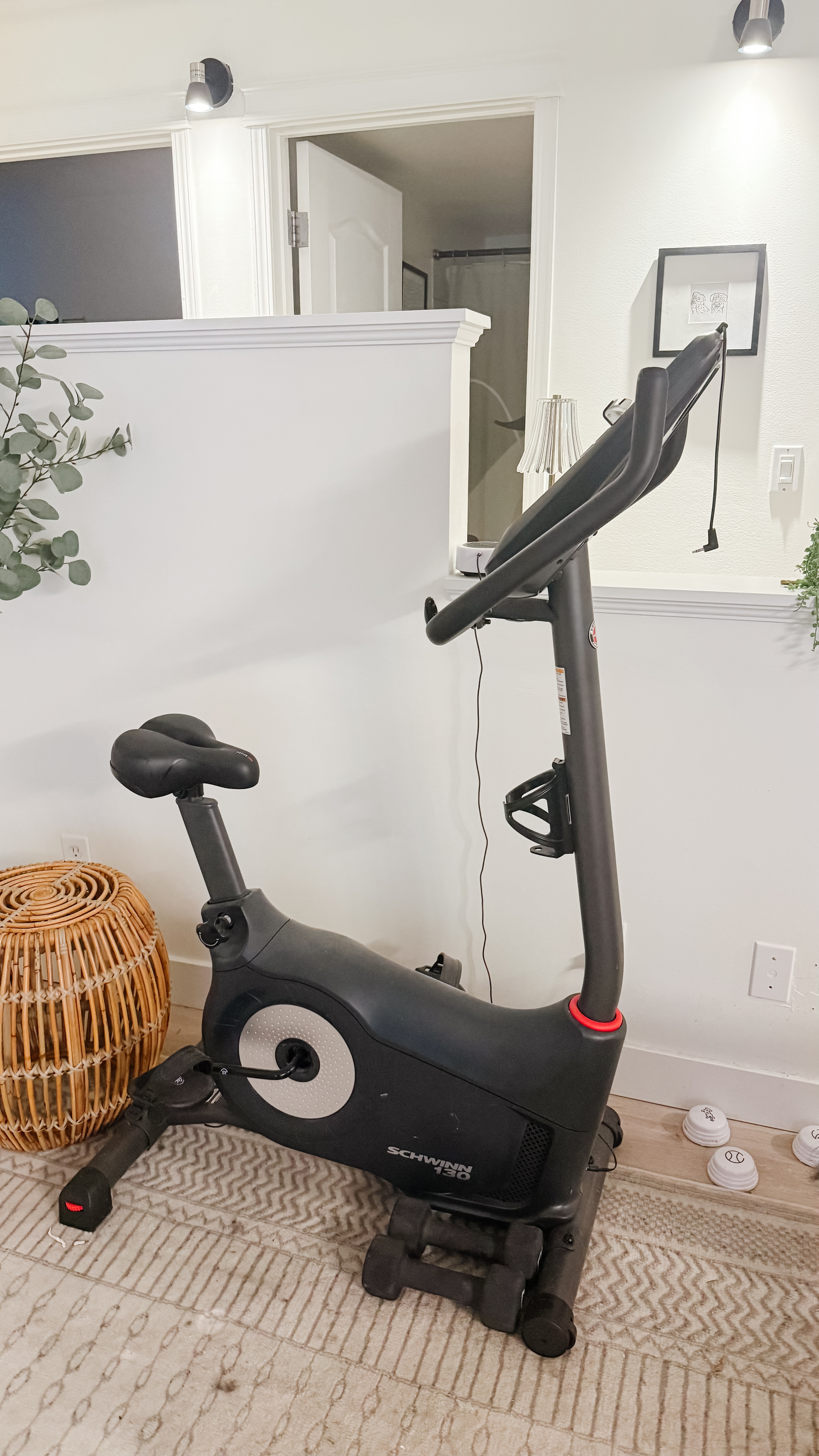 Schwinn 130 Upright Stationary Bike