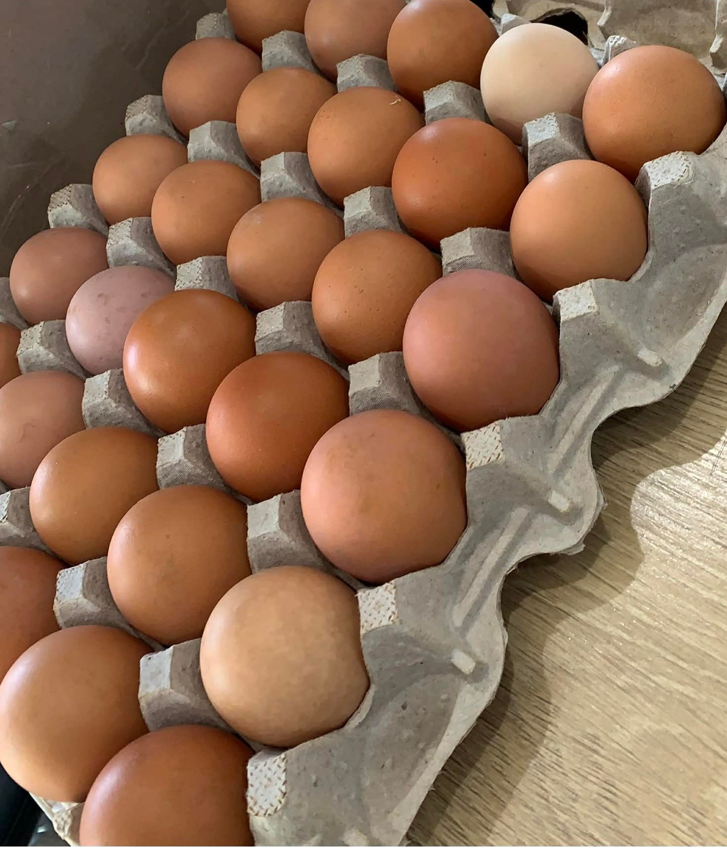 Organic Large Brown eggs from local farm. - photo 5