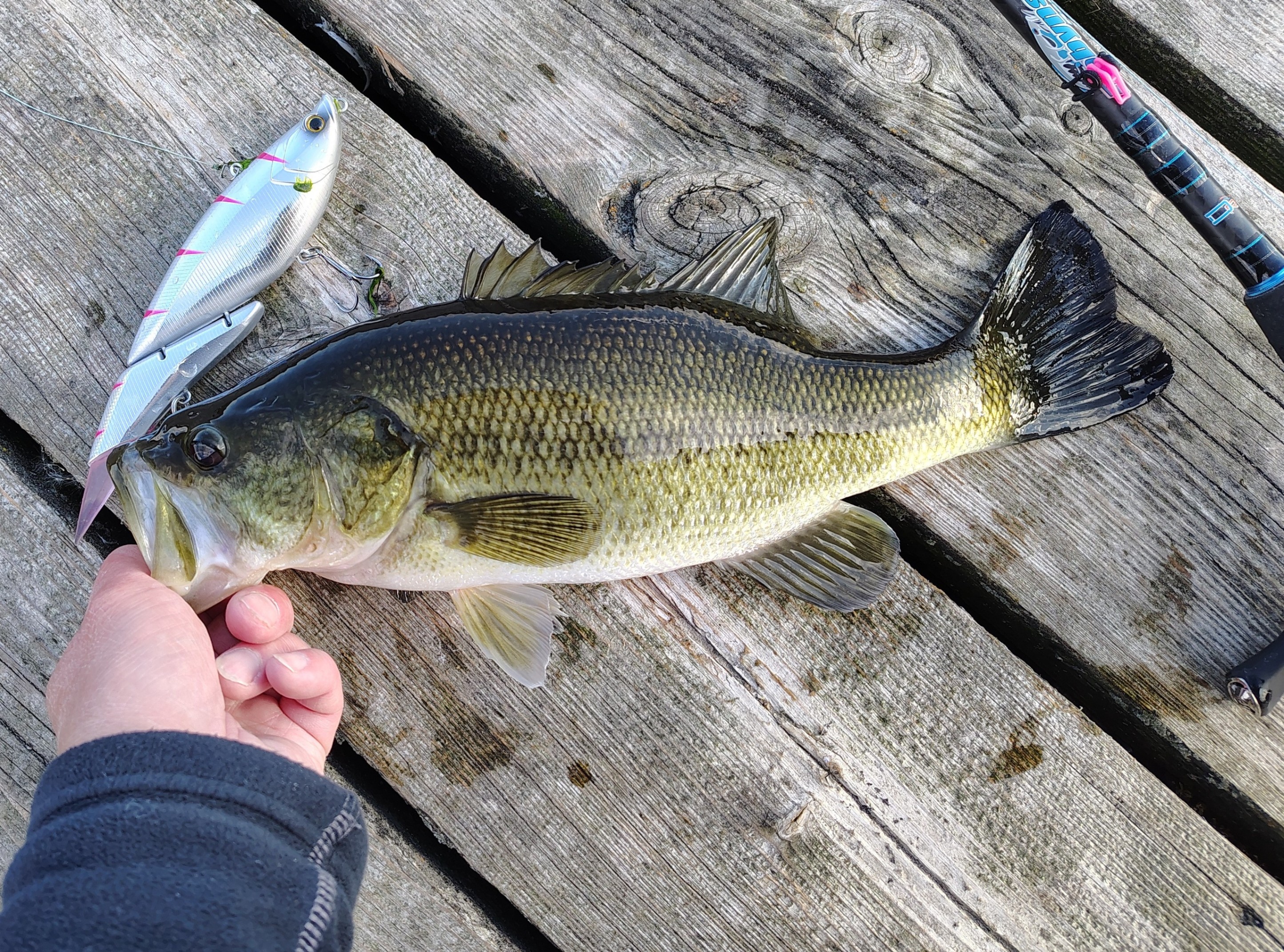 NEW JDM Prototype Da Vinci 190 Slant Joint Swimbait PHANTOM - photo 3