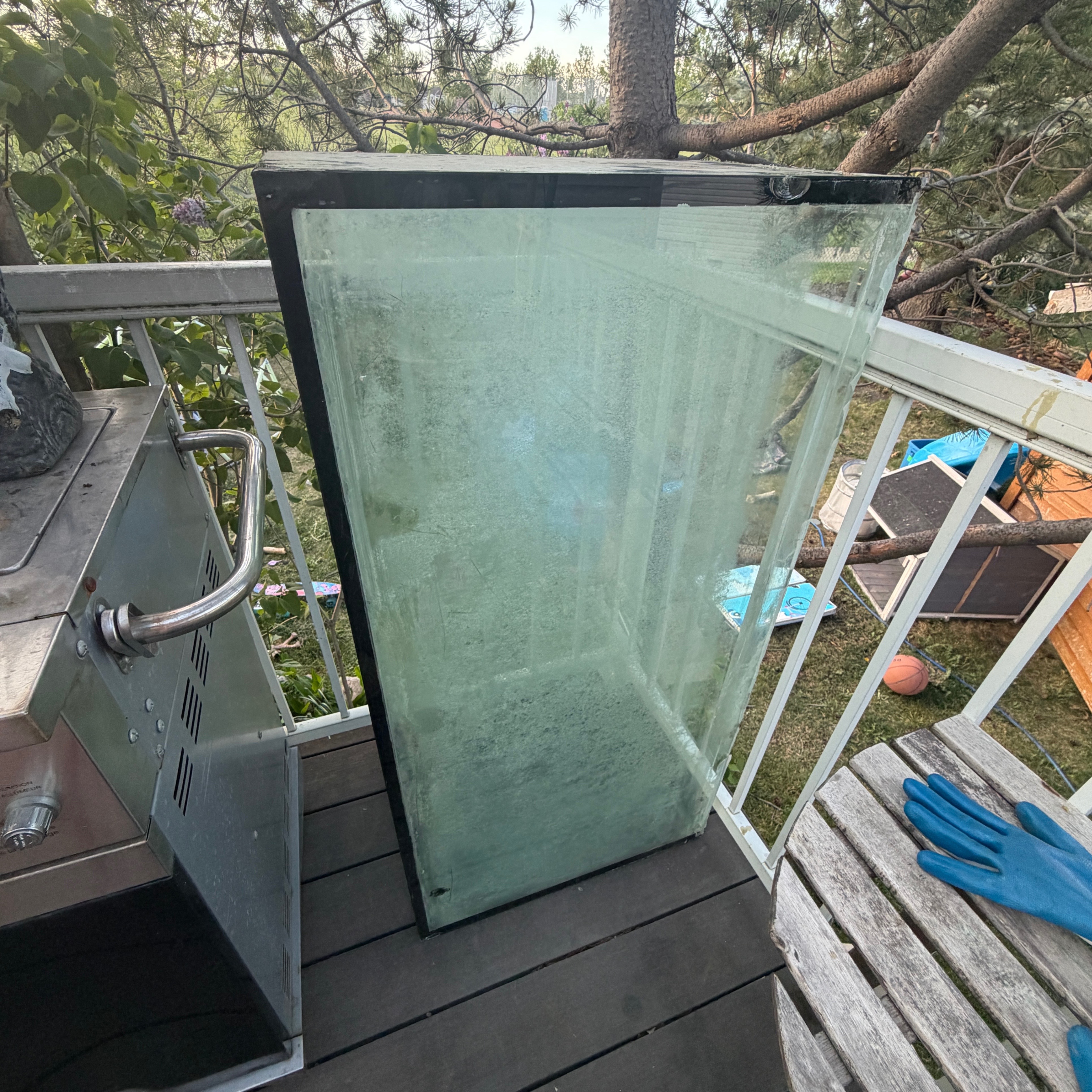 FREE 90 Gallon Aquarium Tank