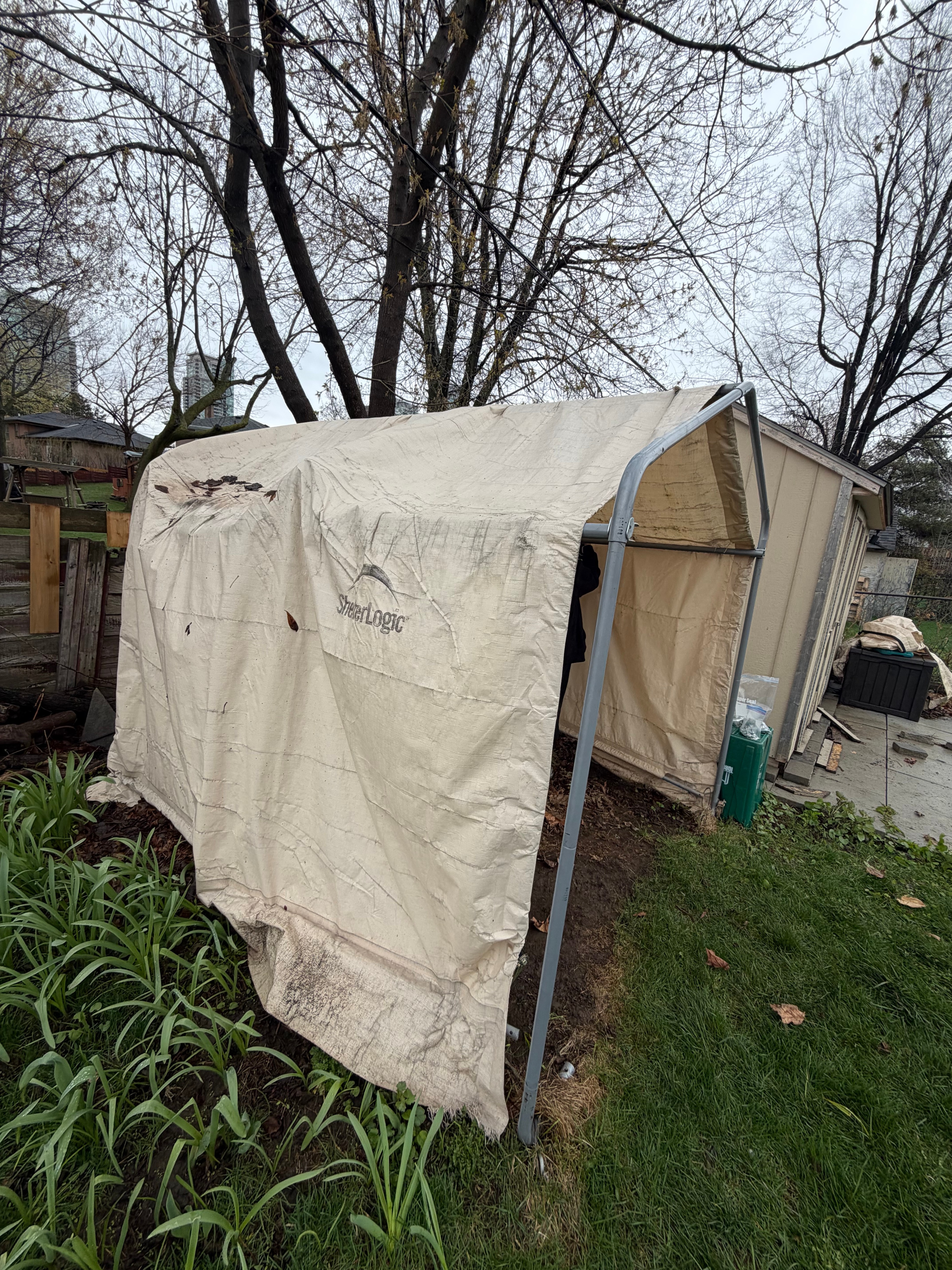 ShelterLogic 10×10×8 Shed - Frame in Good Shape, Cover Trashed