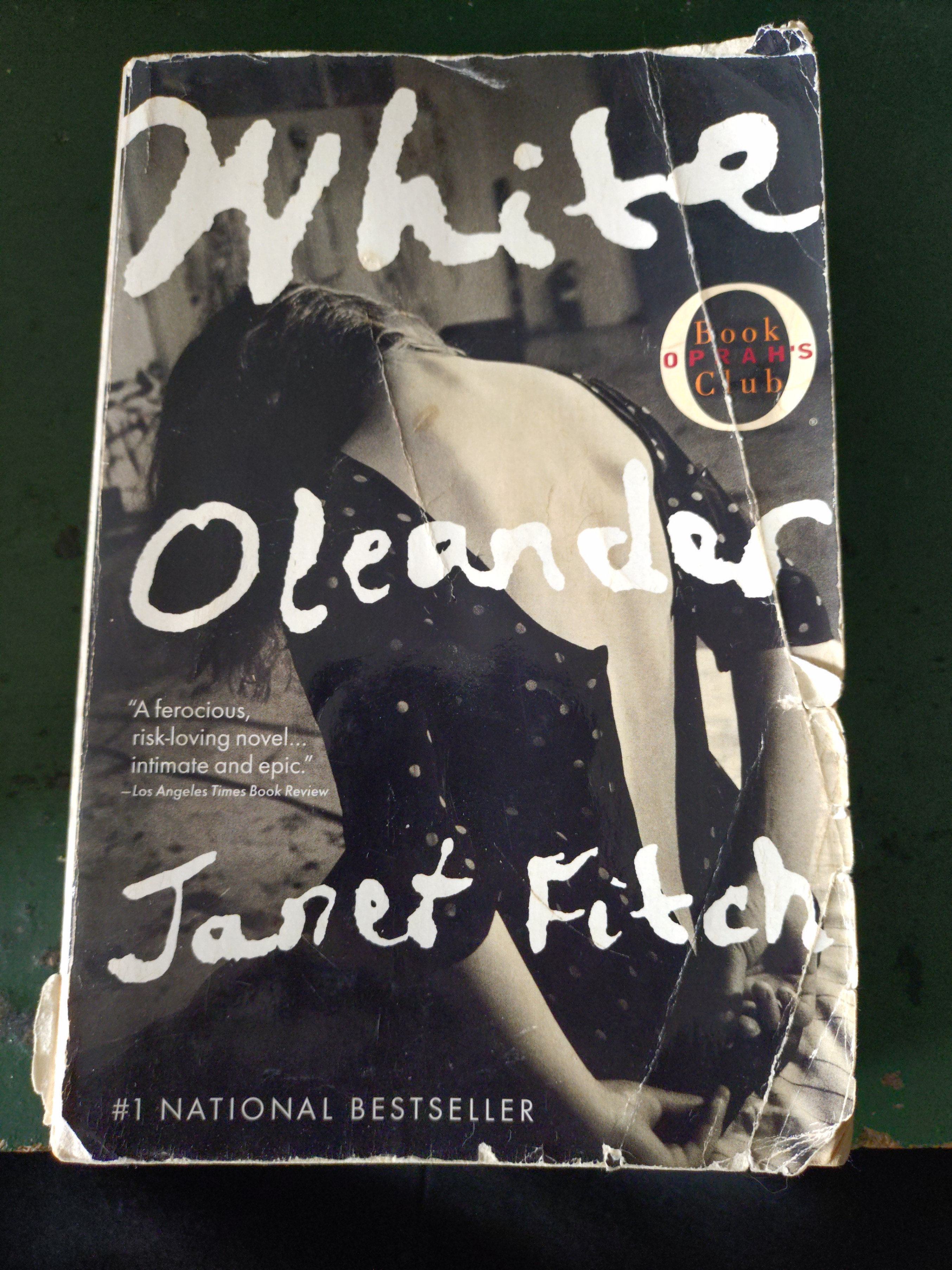 Classic & Literary Fiction Bundle – African Queen, Moby Dick... - photo 4