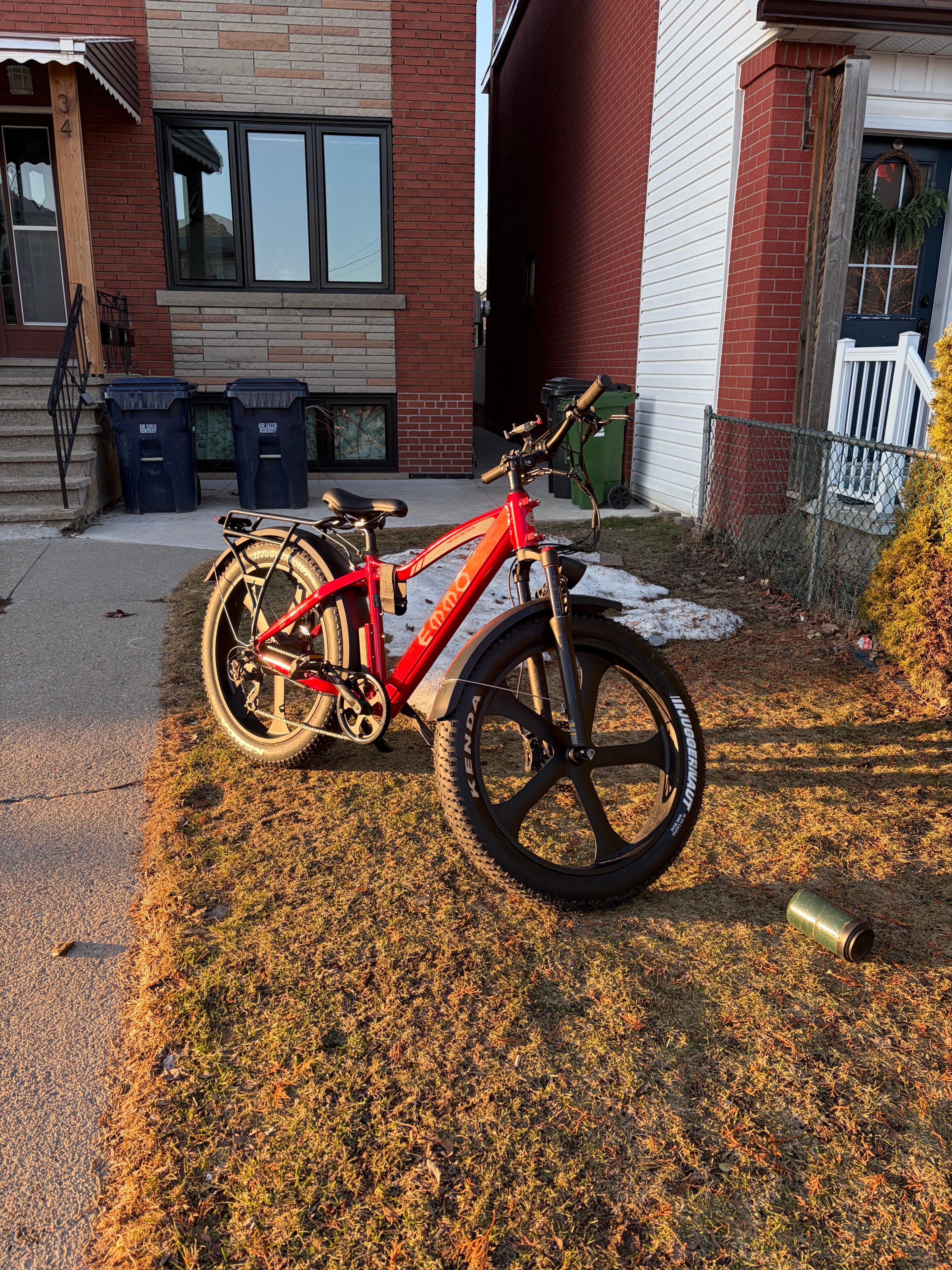 E-Wild Pro Ebike - photo 2