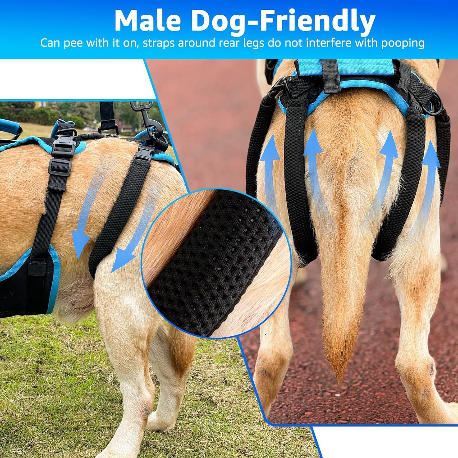 2-in-1 Detachable Dog Support Harness - photo 3