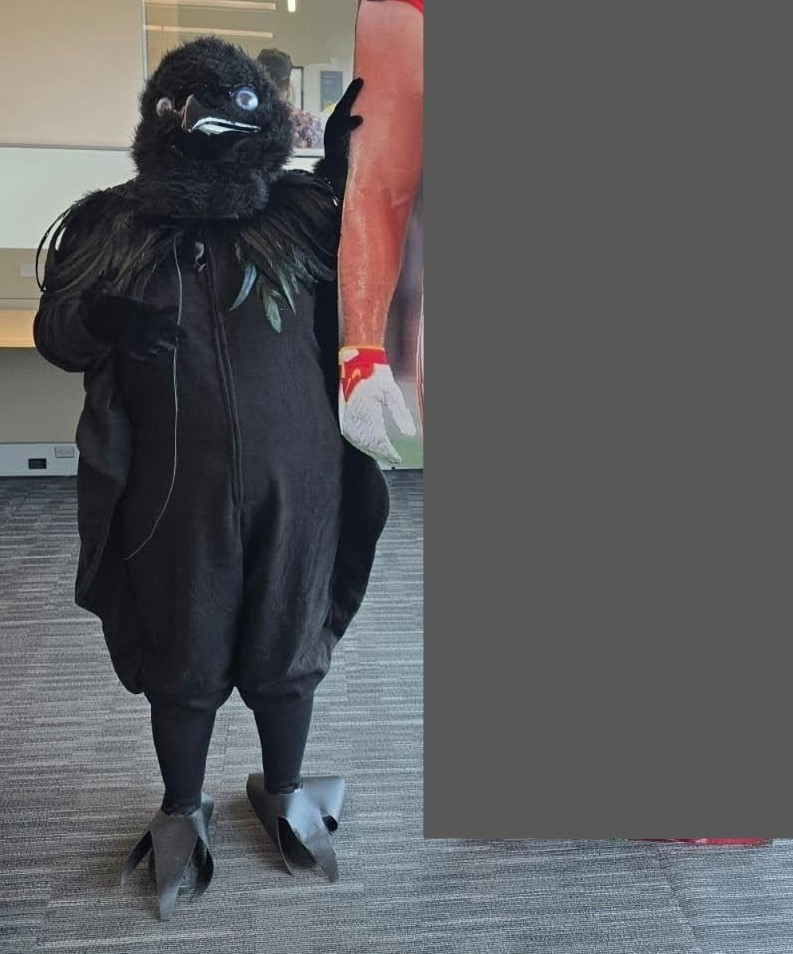 Hallowe'en Raven Costume