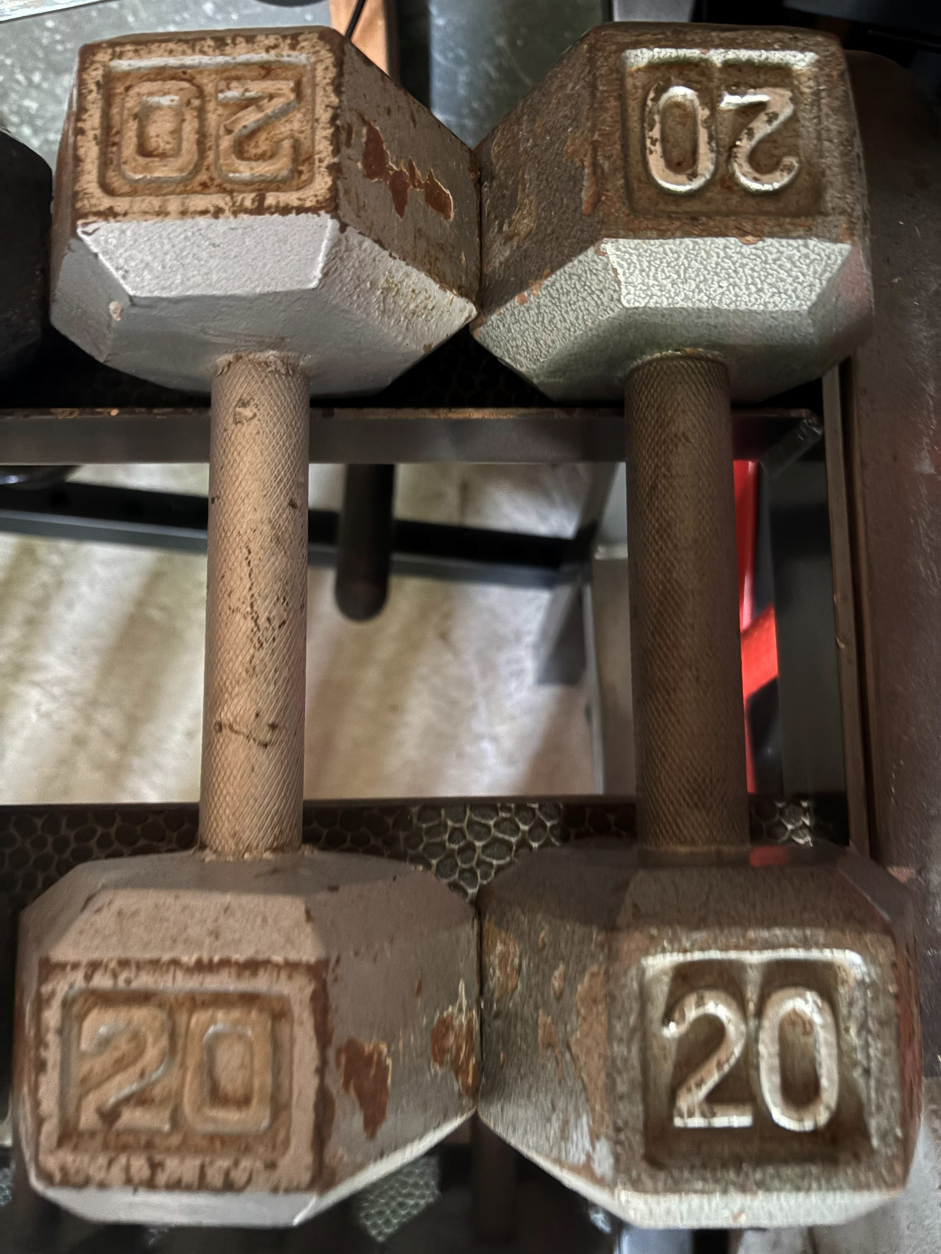 20lb Chrome Dumbbells (Pair)