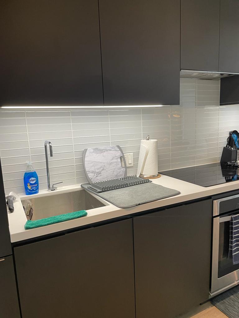 JULY MOVE IN Fully Furnished 1 Bedroom for Rent Downtown Toronto - photo 5