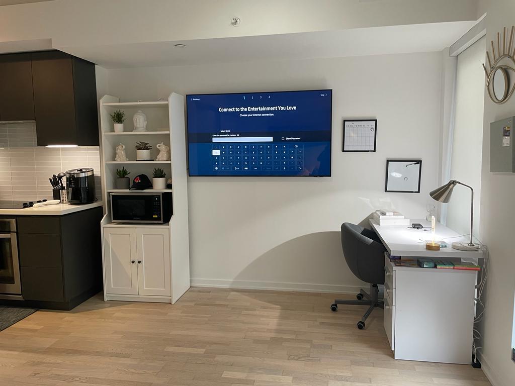 JULY MOVE IN Fully Furnished 1 Bedroom for Rent Downtown Toronto - photo 4