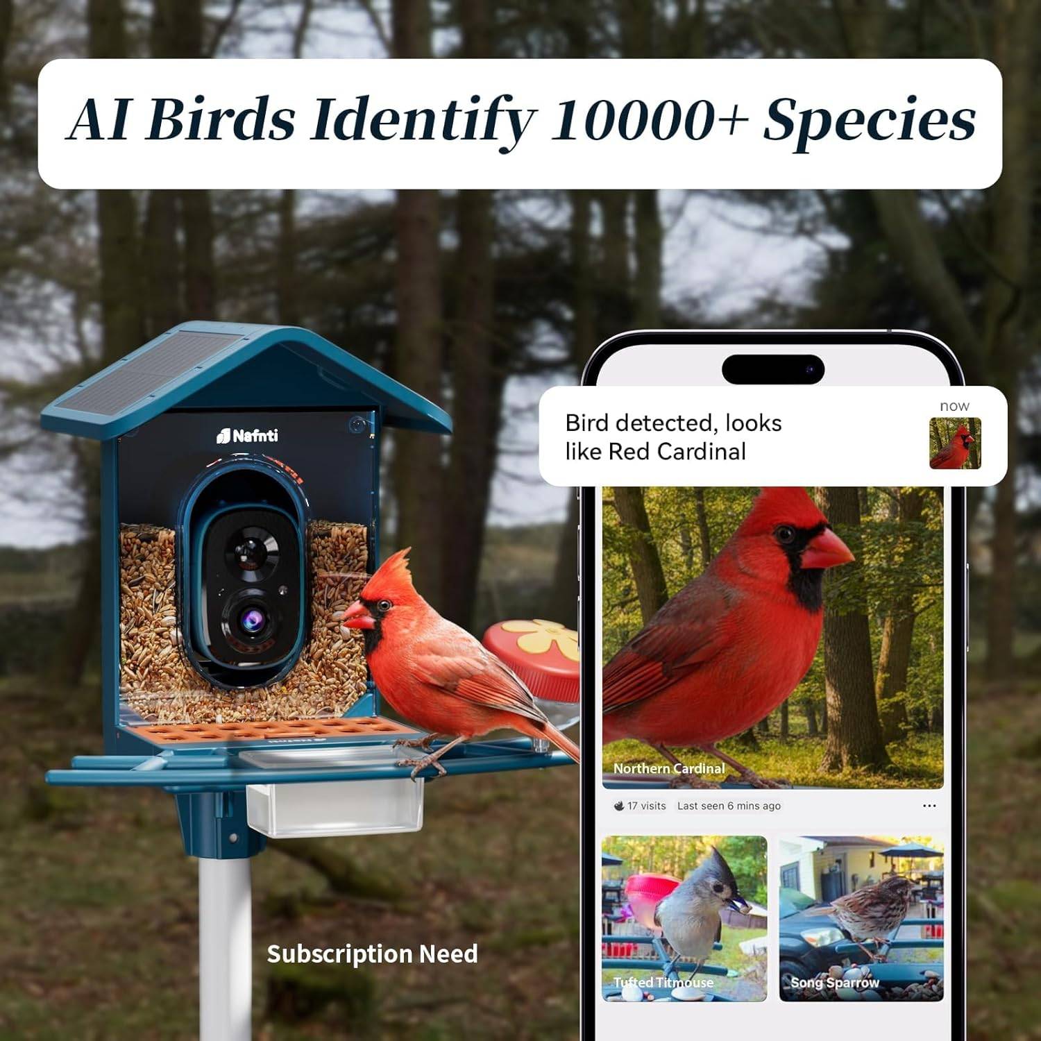 Smart Bird Feeder with Camera Solar Powered - photo 3