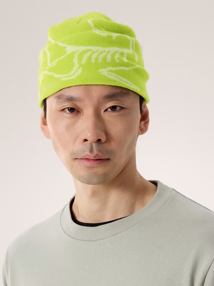 Arc'teryx Bird Head Toque - Mantis - photo 2