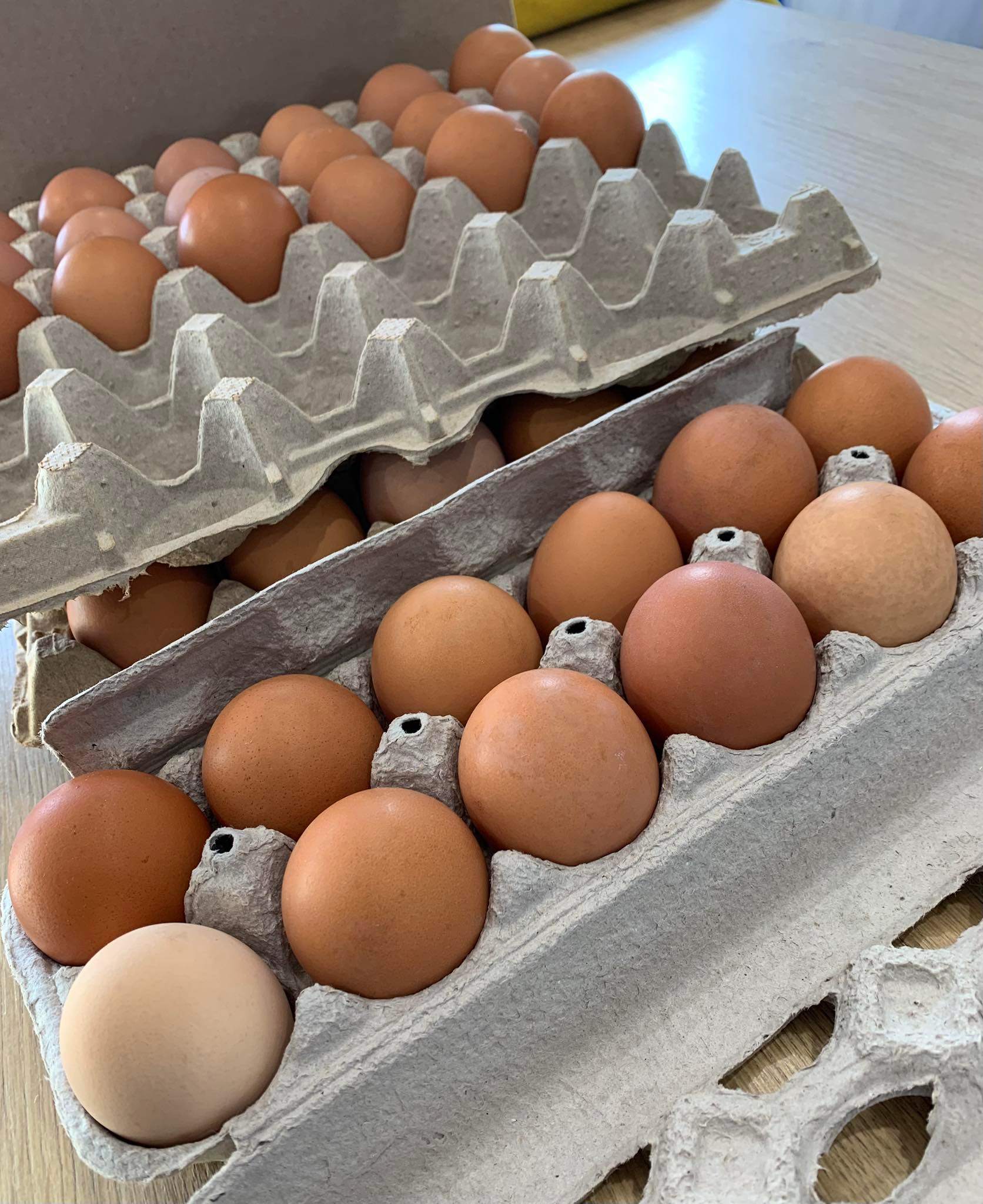 Organic Brown eggs from local farm. - photo 5