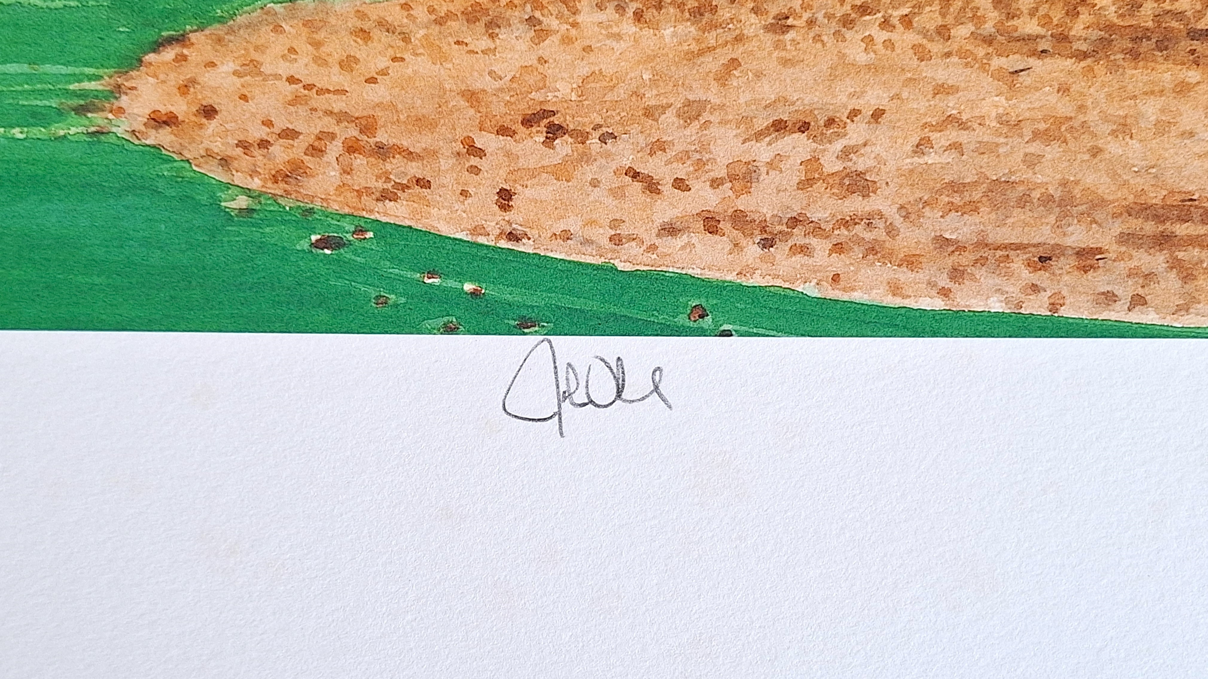 Les Tait "The Power & The Glory" L/E signed by Winfield & Olerud - photo 5