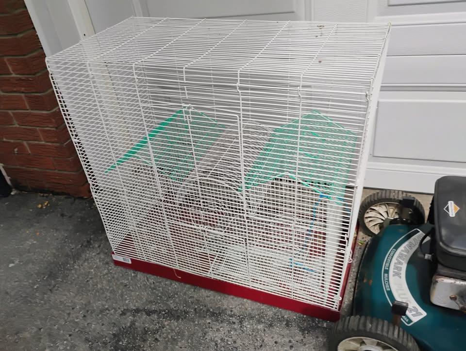 Finch Canary Budgie Lovebird Cockatiel Breeder Parrot Bird Cage