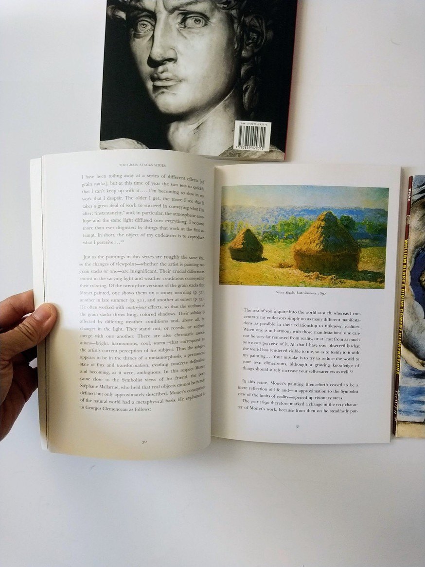 Art books! - photo 5