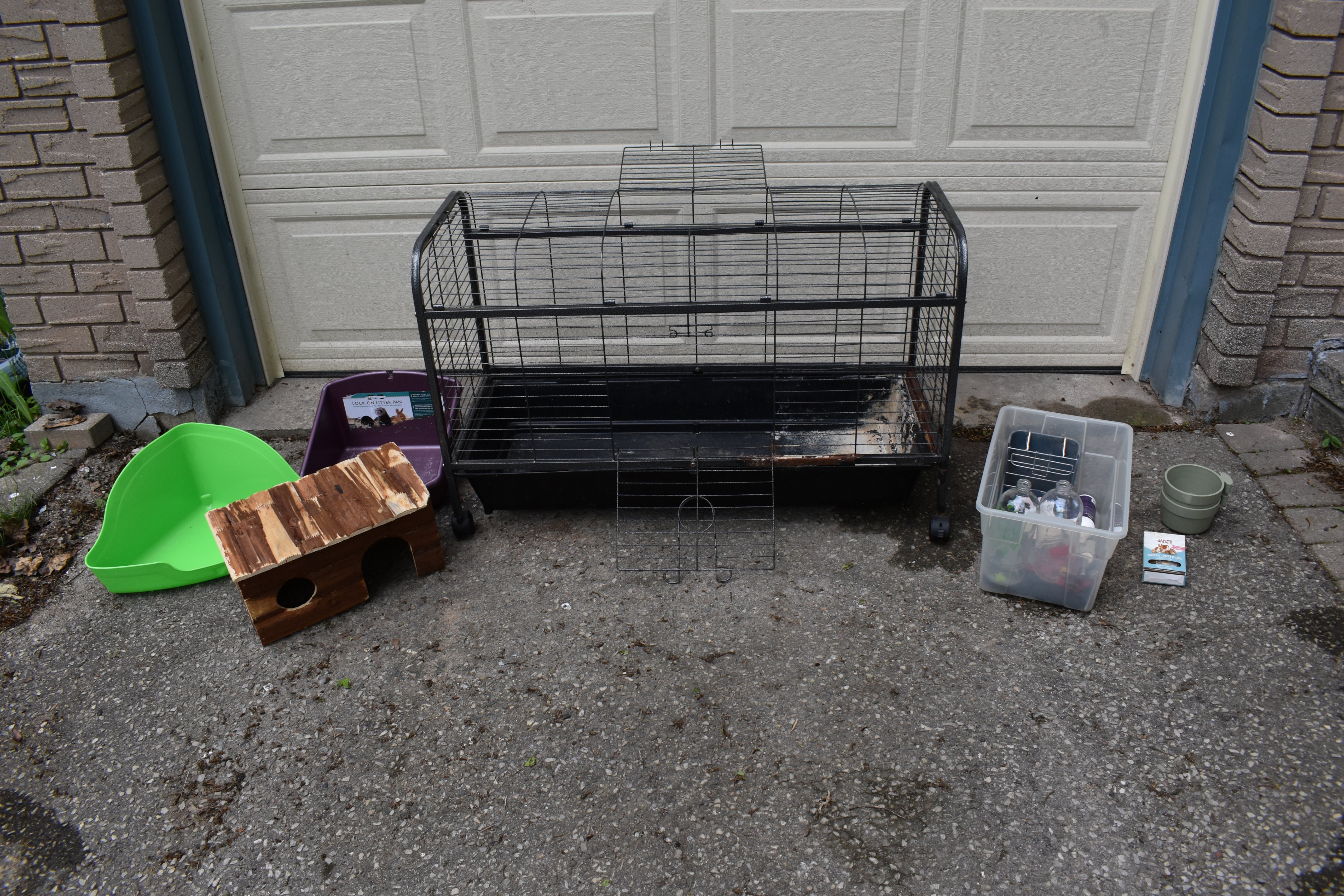 Rabbit Starter Kit