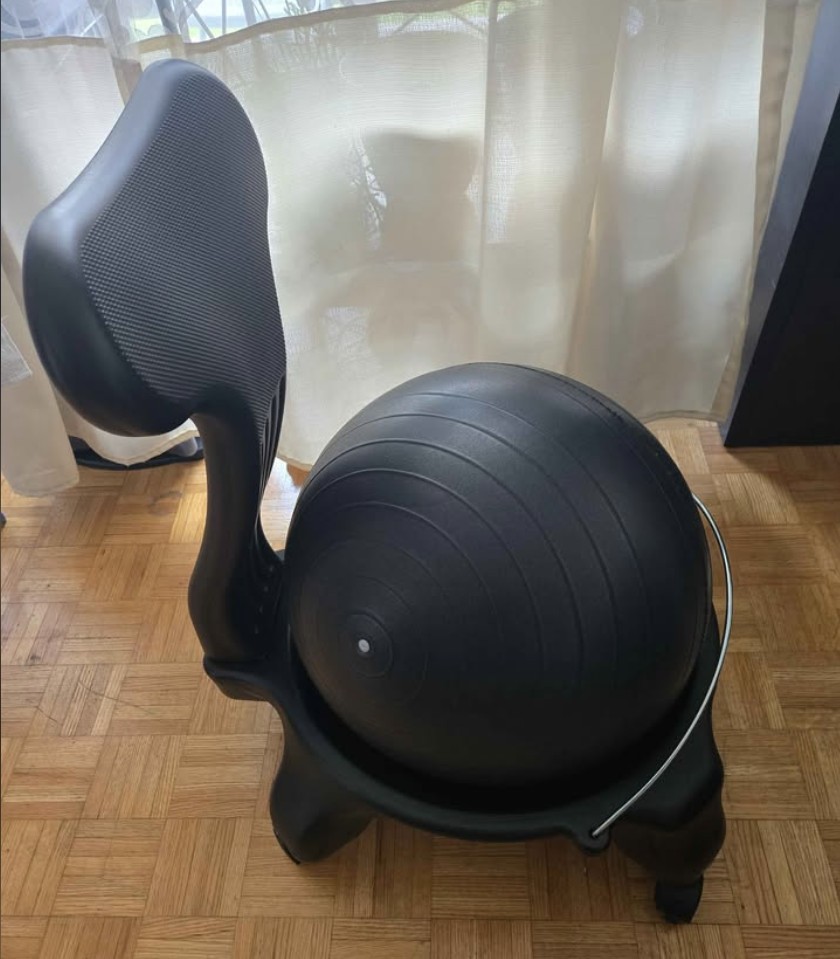 Balance Ball Chair