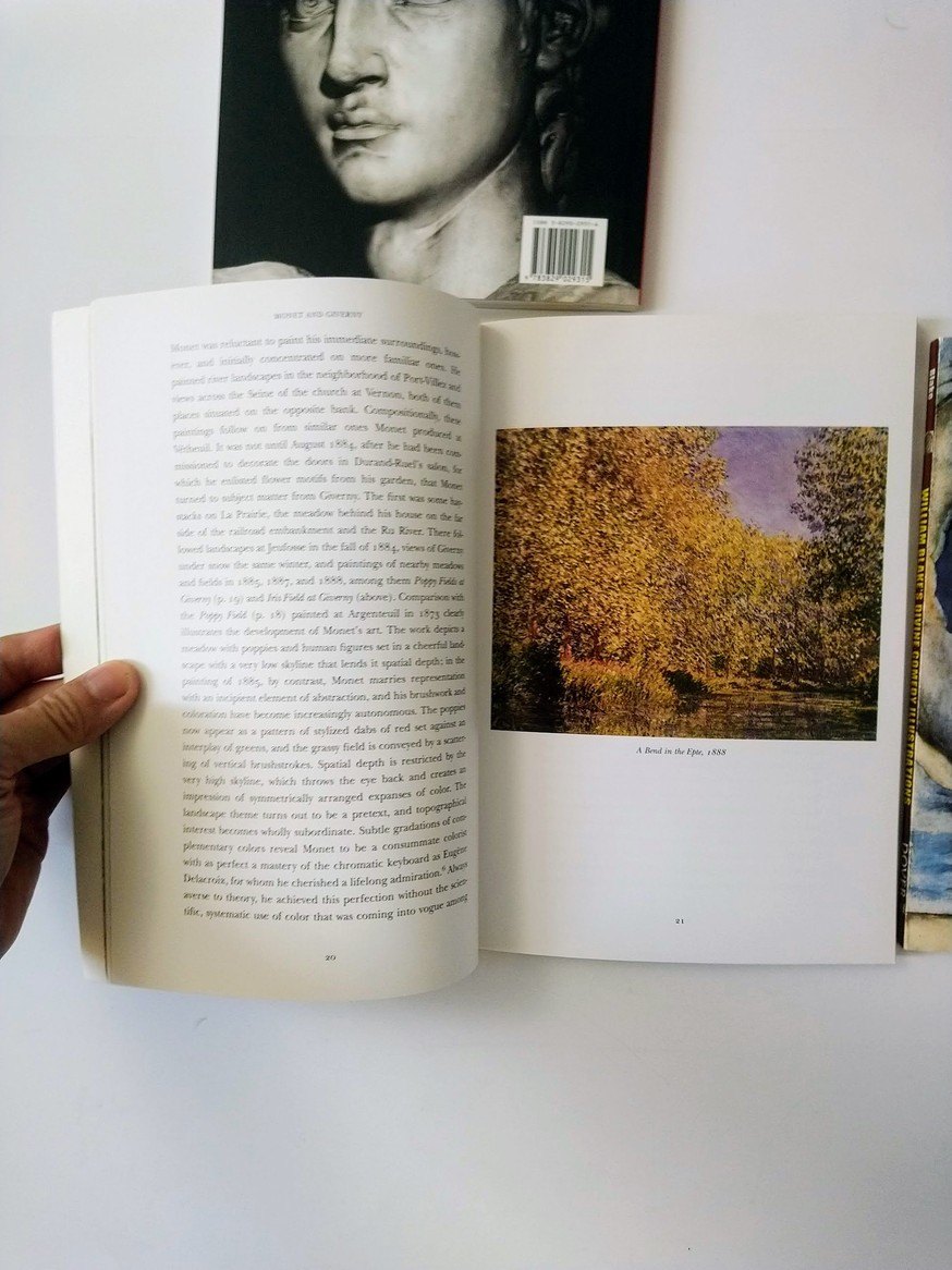 Art books! - photo 4