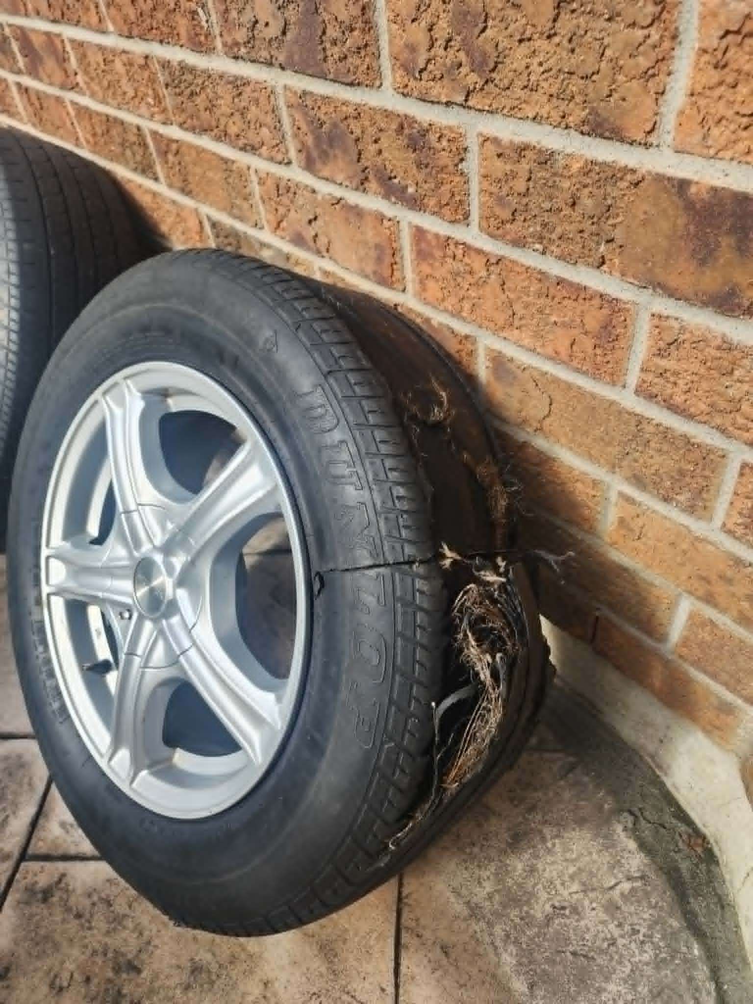 Silver Alloy Wheels with extra Tires - photo 2