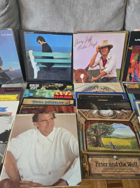 Assorted Vinyl Records Collection - photo 5