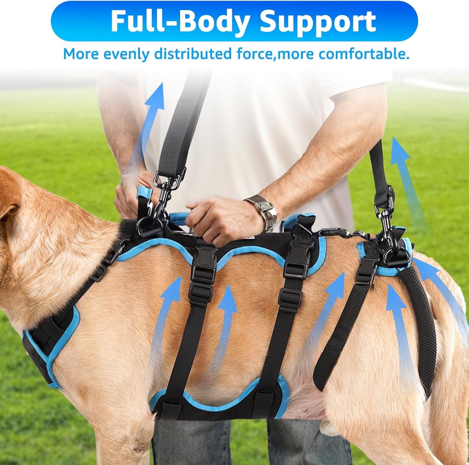 2-in-1 Detachable Dog Support Harness - photo 4