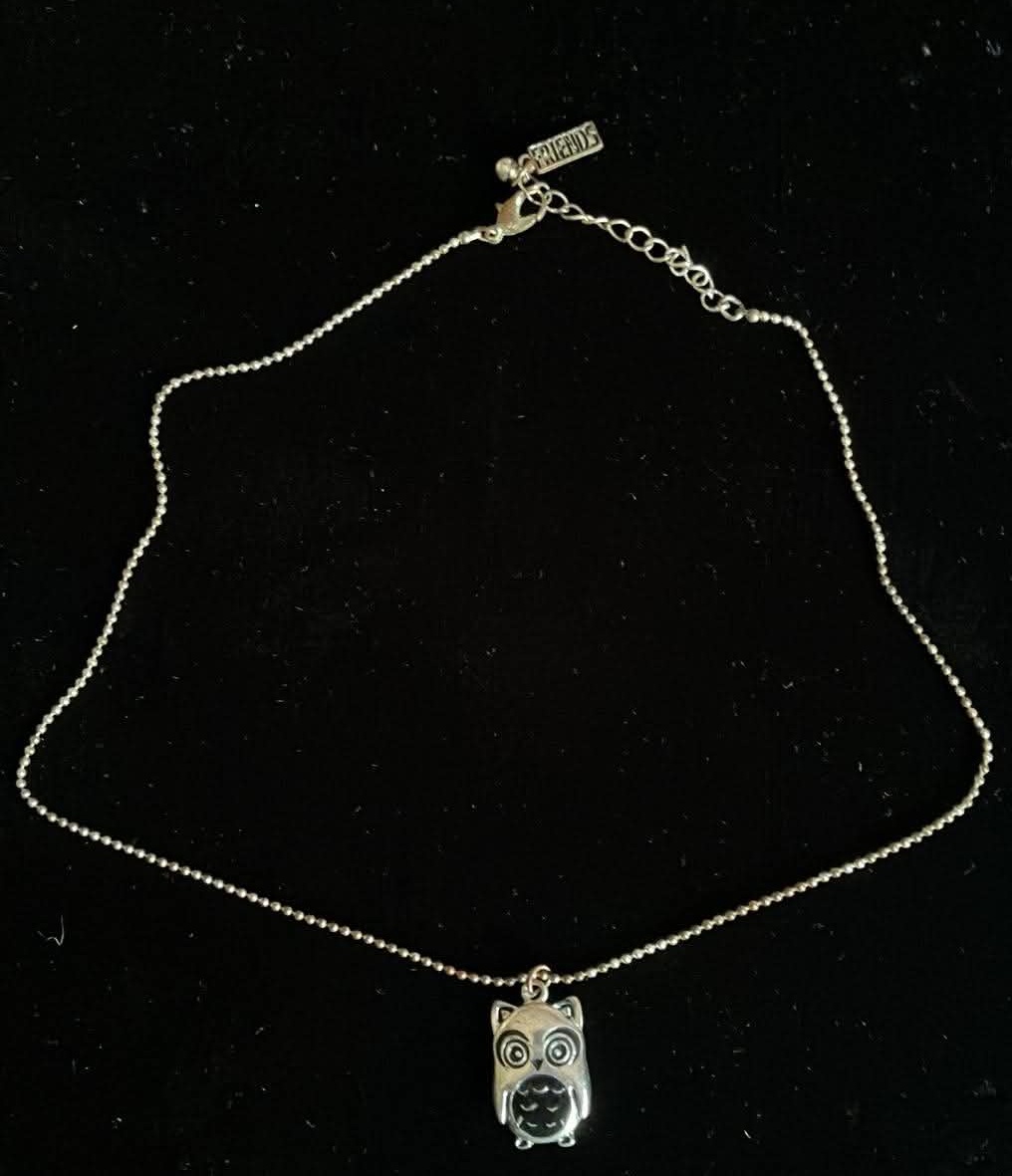 Owl Necklace - 18 Inches