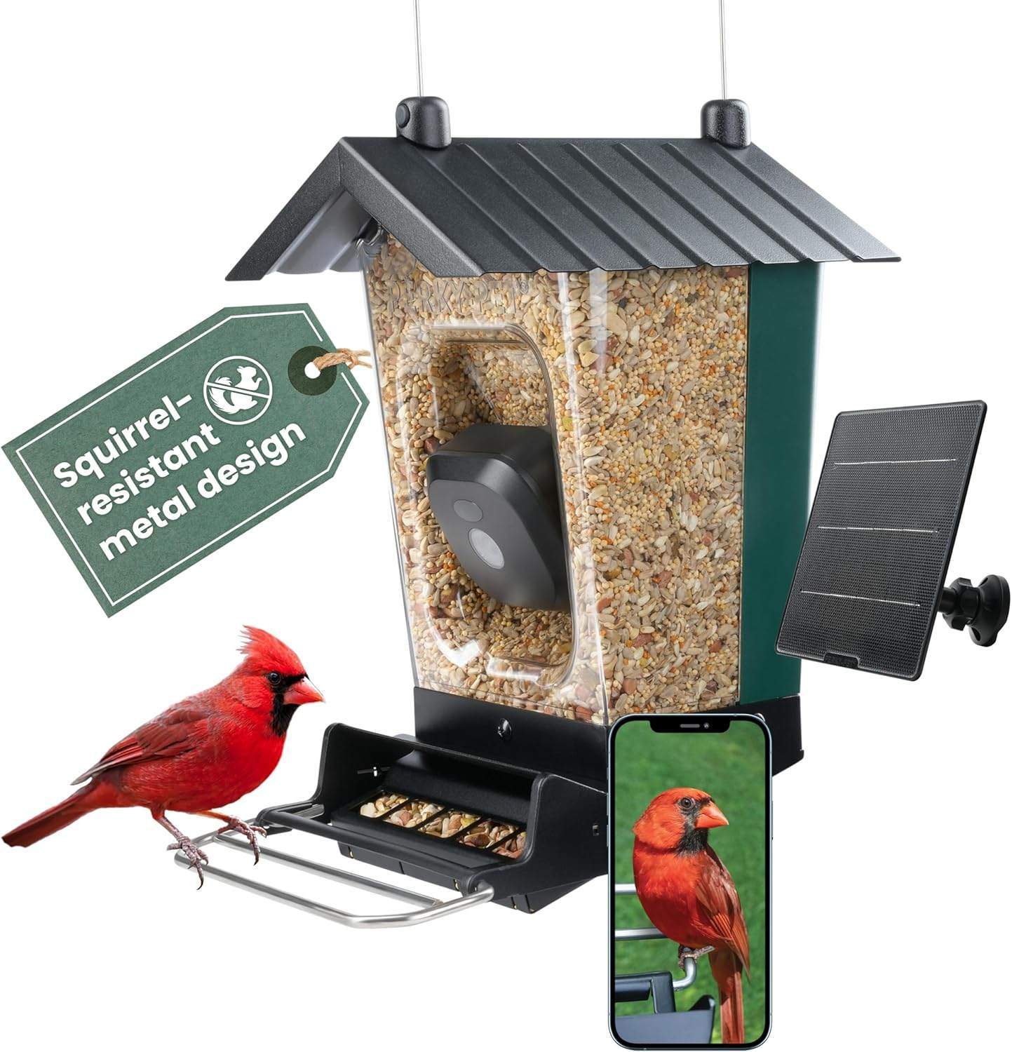 Solar Powered Smart Bird Feeder with Camera