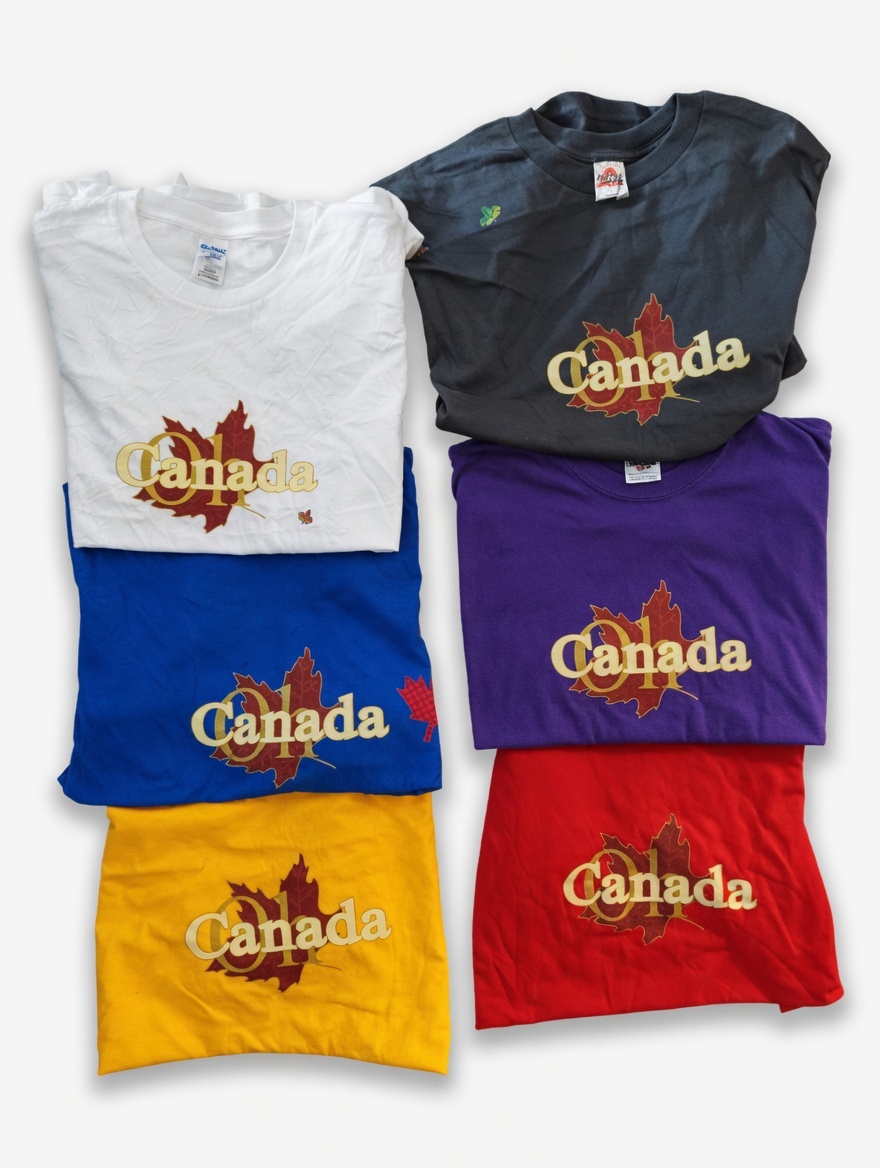 🔥 CANADA / TORONTO / NIAGARA FALLS T-SHIRTS – BRAND NEW 🔥 - photo 3