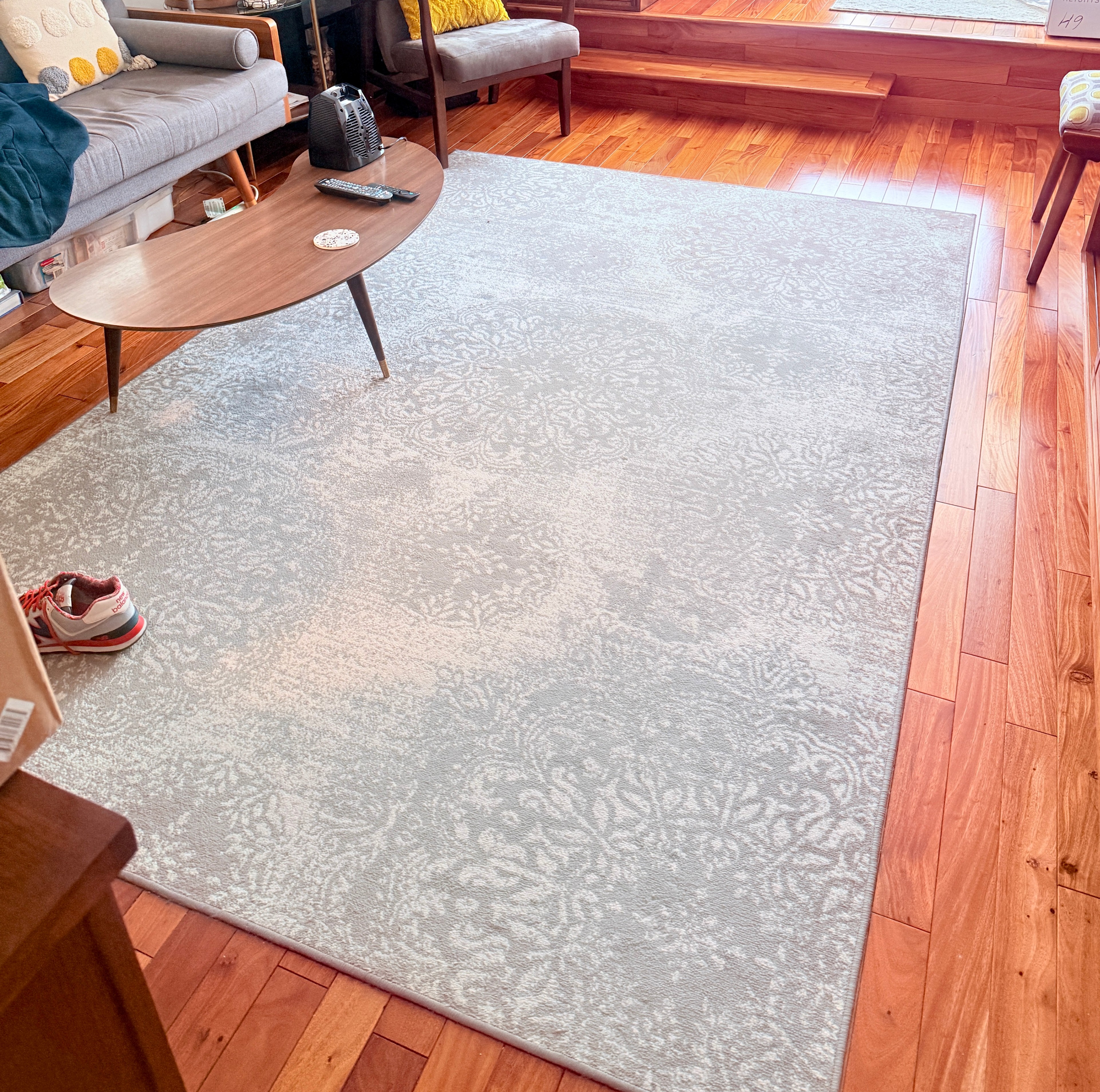 Grey & Off-white neutral, chic 6'x9' area rug