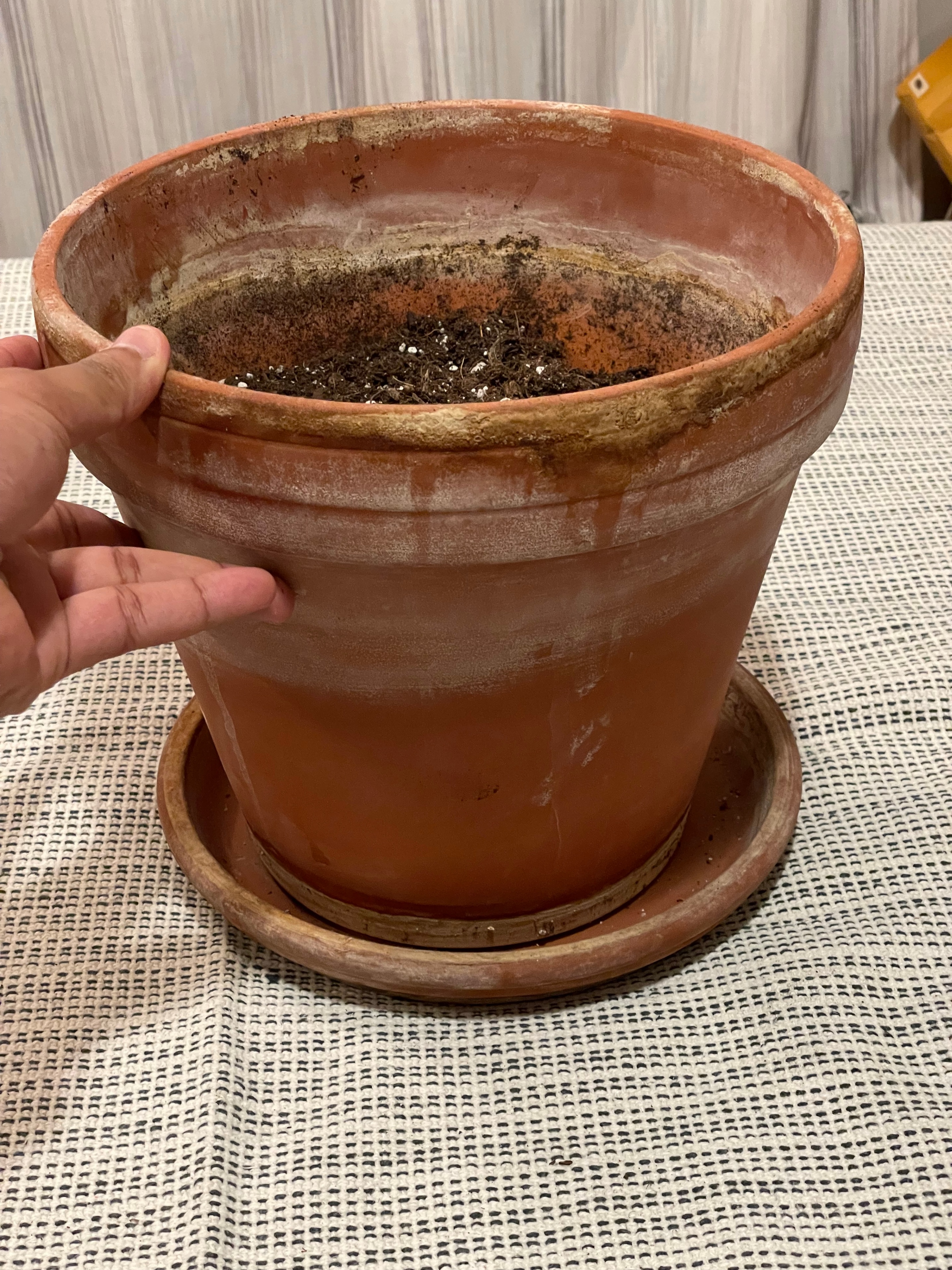 Assorted Terracotta and Plastic Plant Pots - photo 2