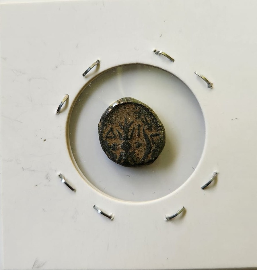 🏺 Lot of 7 Ancient Judaean Bronze Coins – Hasmonean/Herodian - photo 4