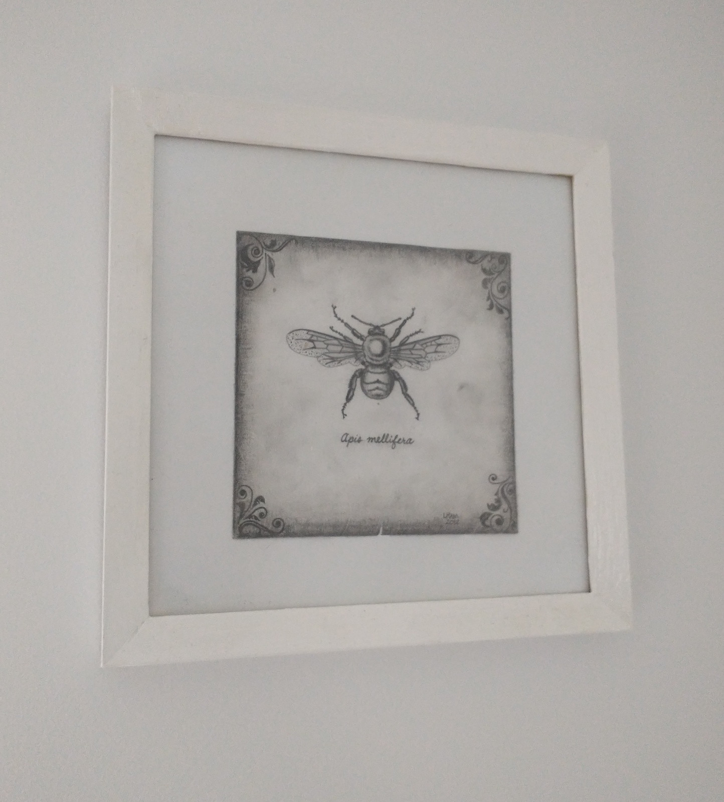 Framed Sketch Art Piece
