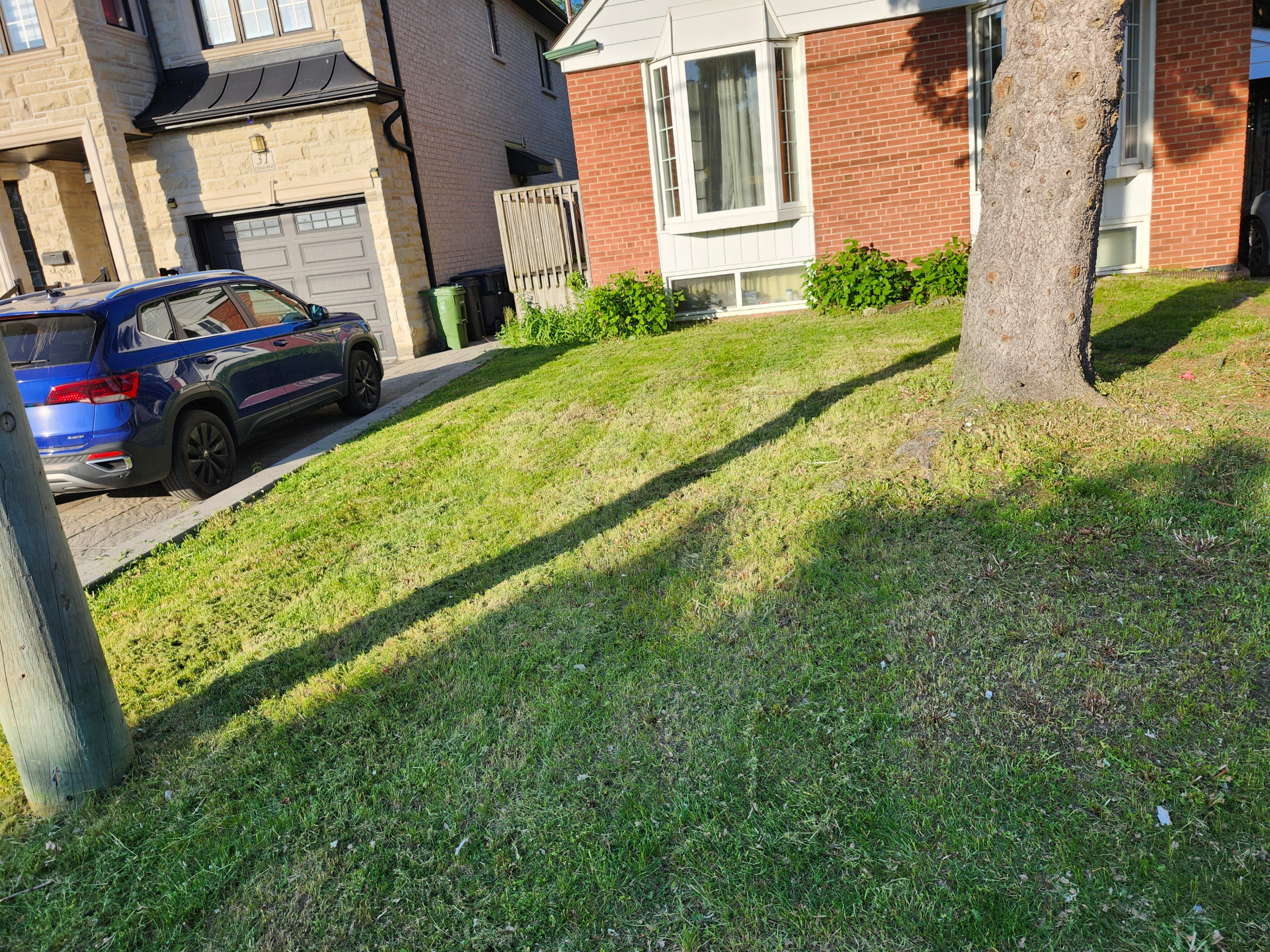 Lawn Mowing - photo 2