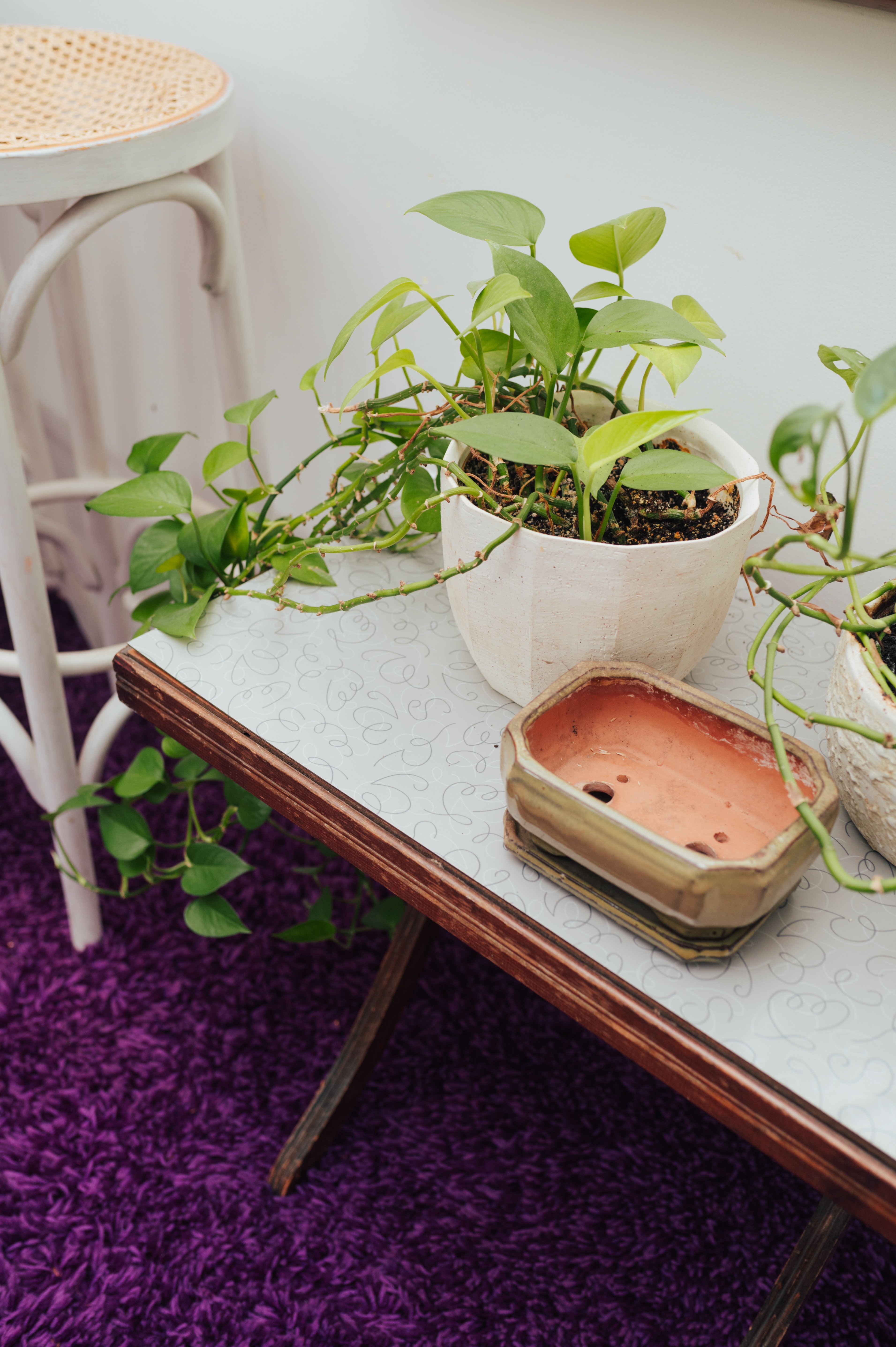 1960s Atomic Laminate Folding Plant Table - photo 2