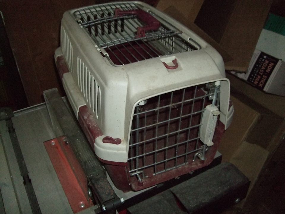 Pet Carrier
