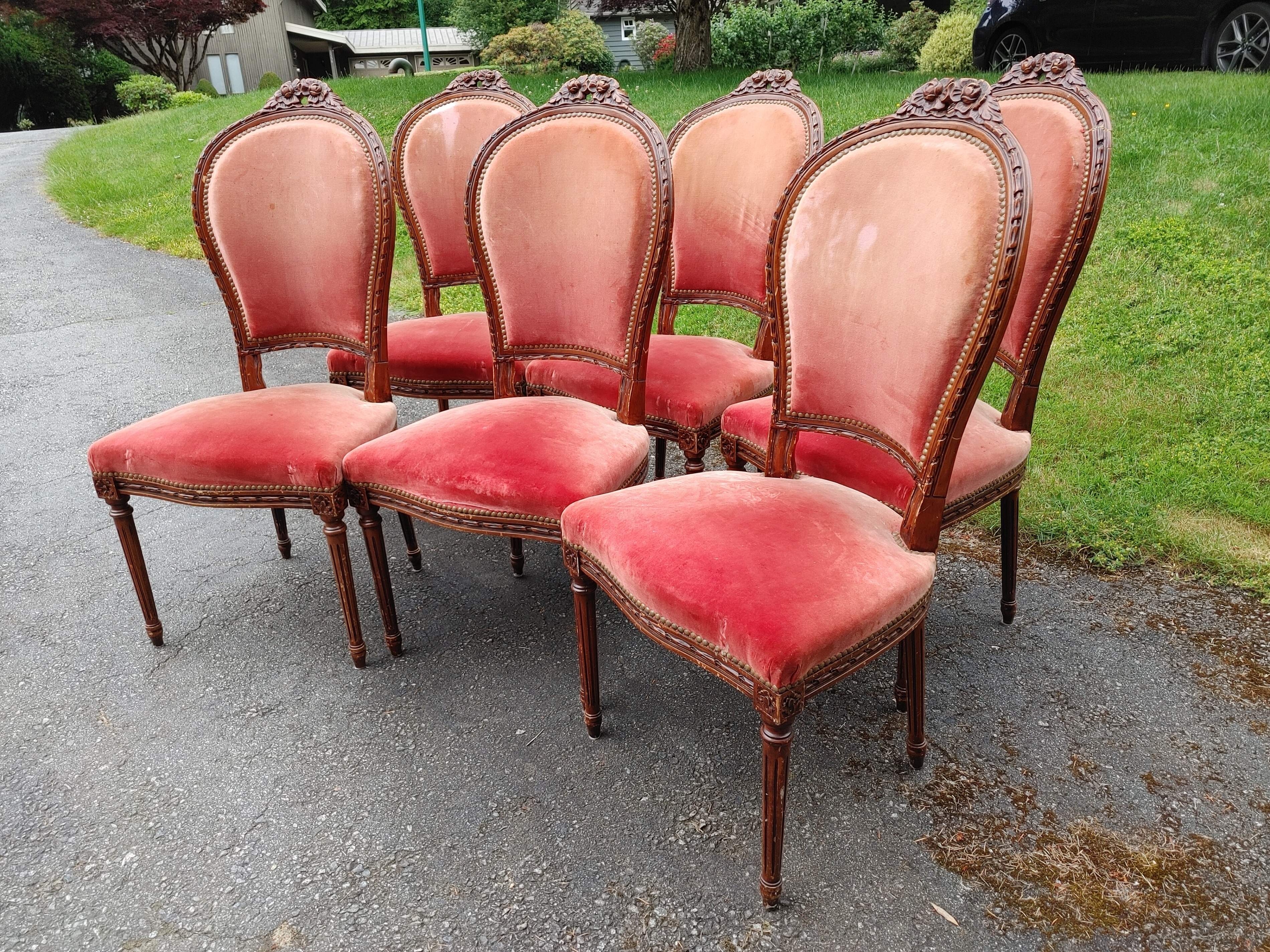 Six Luis XVI style velvet dining chairs