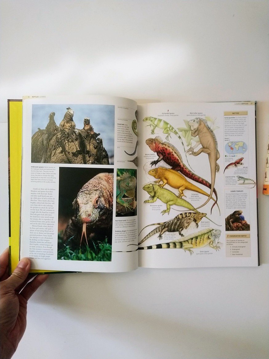 Reptile and Amphibian books! - photo 2