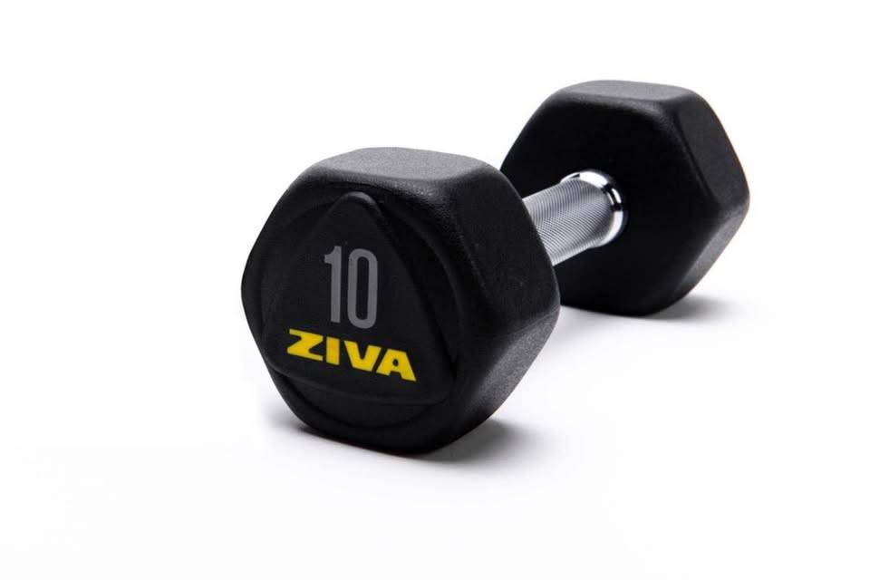 2 un - Ziva 10lb Hex Dumbbell