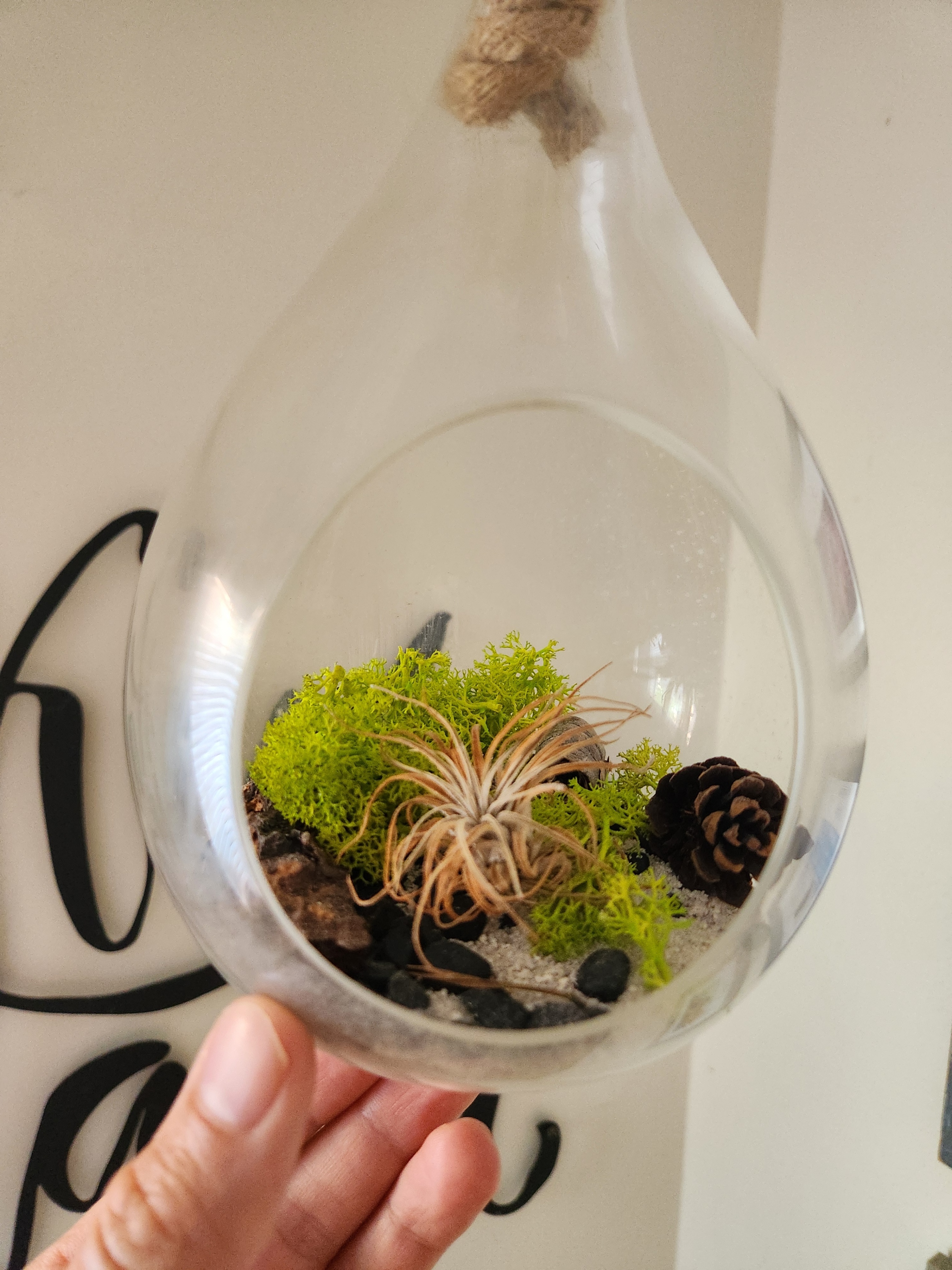 Set of 2 Hanging Glass Drop Terrariums / DIY Plant Pots - photo 2