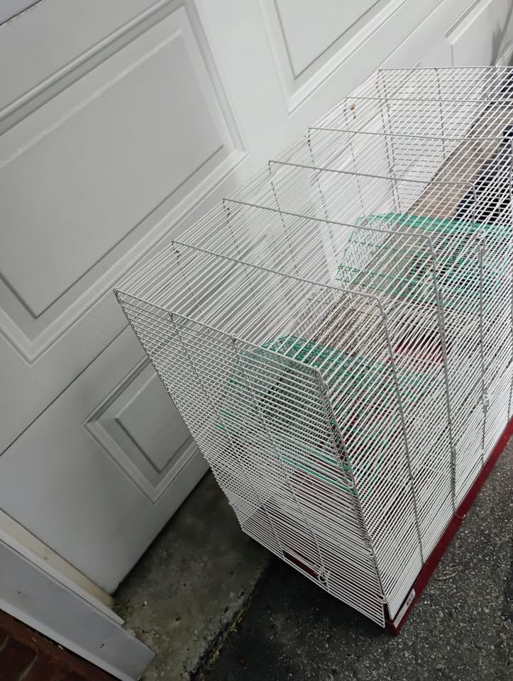 Finch Canary Budgie Lovebird Cockatiel Breeder Parrot Bird Cage - photo 2